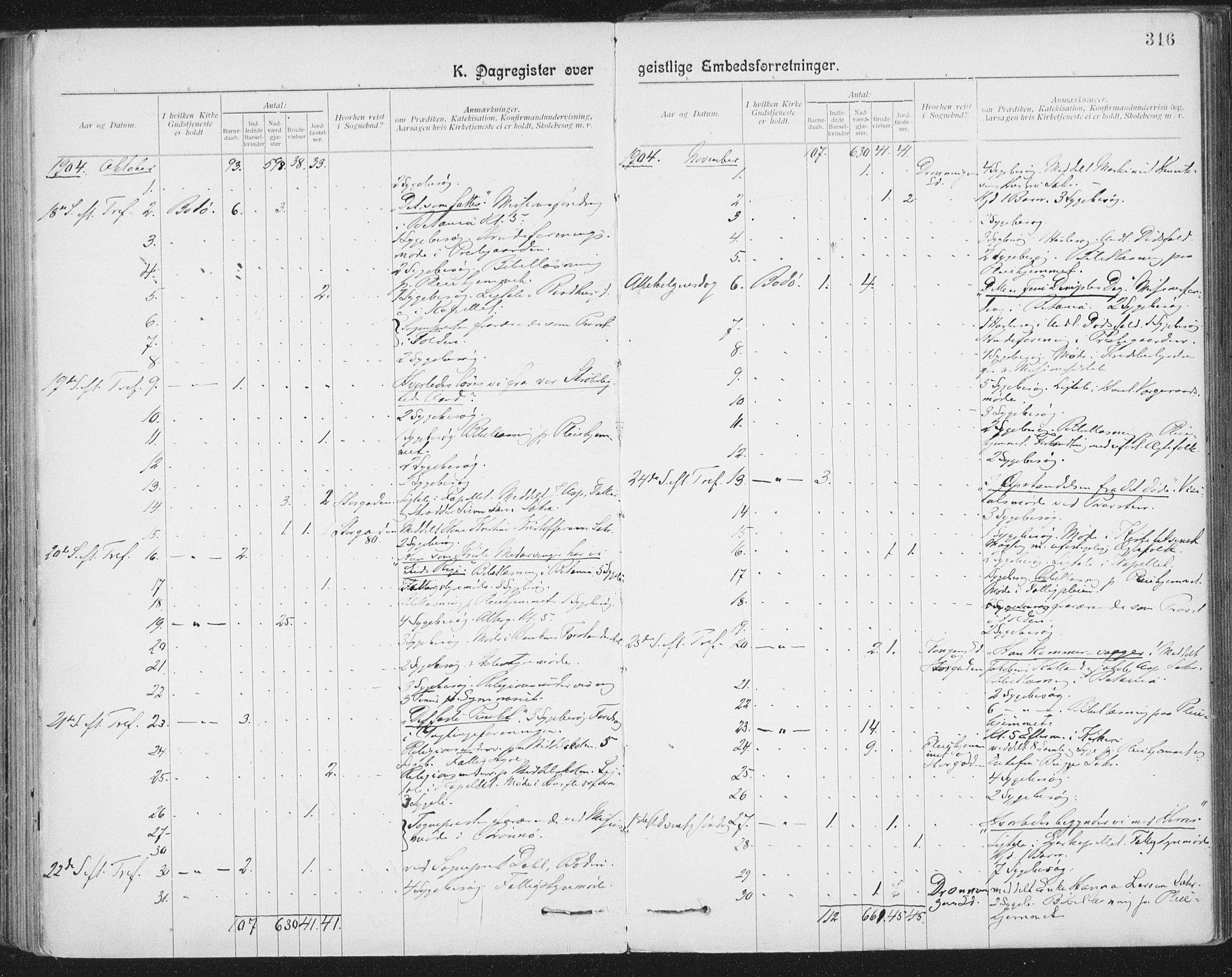 Ministerialprotokoller, klokkerbøker og fødselsregistre - Nordland, AV/SAT-A-1459/801/L0012: Ministerialbok nr. 801A12, 1900-1916, s. 316