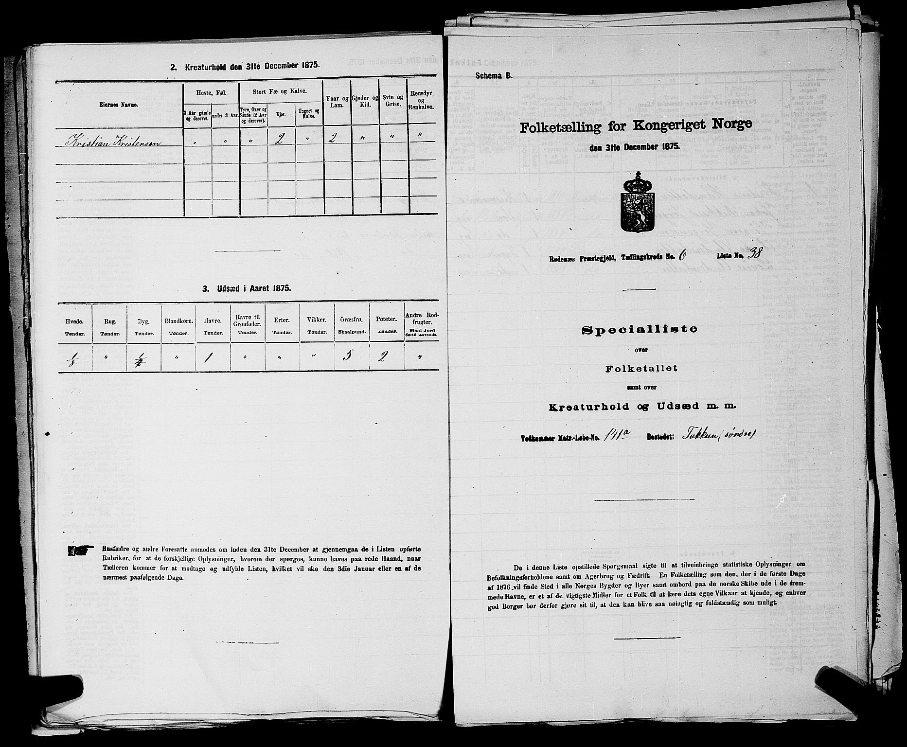 RA, Folketelling 1875 for 0120P Rødenes prestegjeld, 1875, s. 816