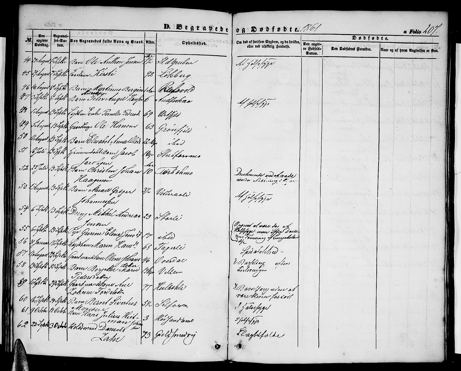 Ministerialprotokoller, klokkerbøker og fødselsregistre - Nordland, AV/SAT-A-1459/827/L0414: Klokkerbok nr. 827C03, 1853-1865, s. 207