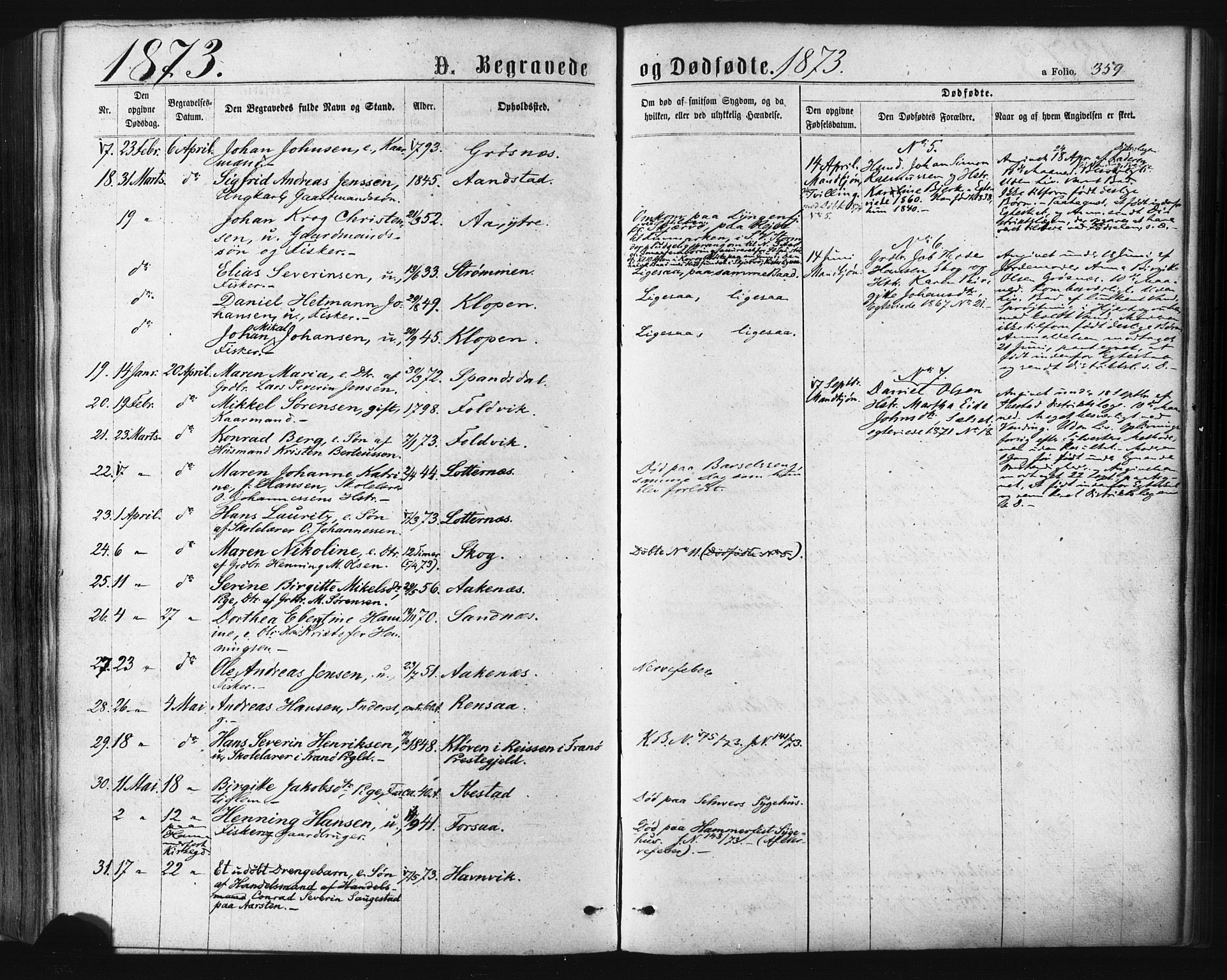 Ibestad sokneprestembete, AV/SATØ-S-0077/H/Ha/Haa/L0010kirke: Ministerialbok nr. 10, 1869-1879, s. 359