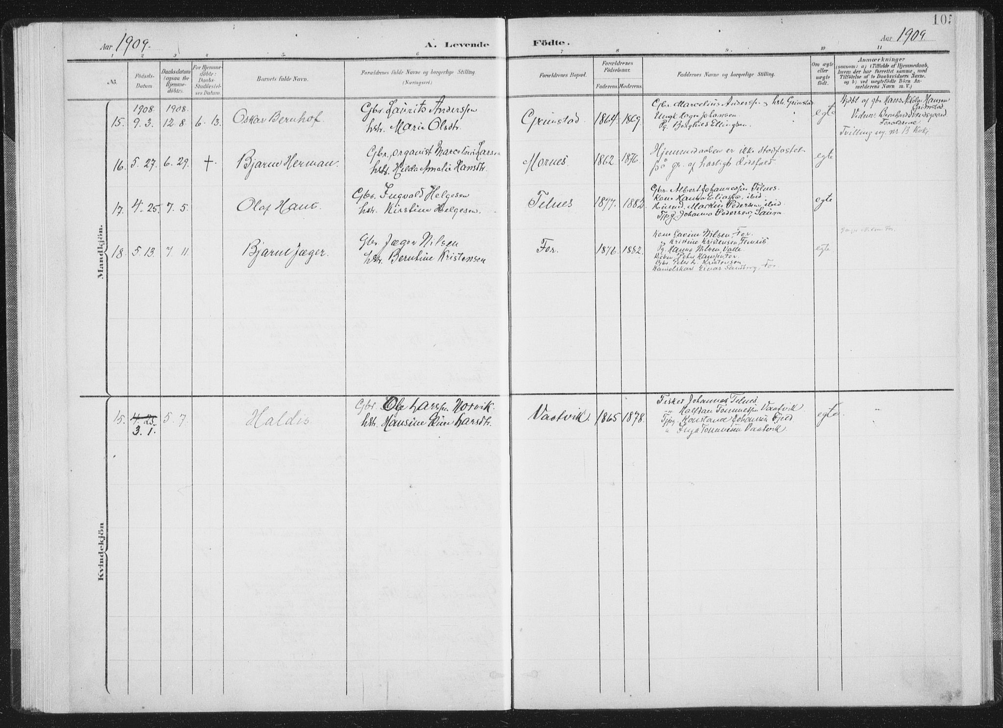 Ministerialprotokoller, klokkerbøker og fødselsregistre - Nordland, AV/SAT-A-1459/805/L0102: Ministerialbok nr. 805A08I, 1900-1909, s. 105