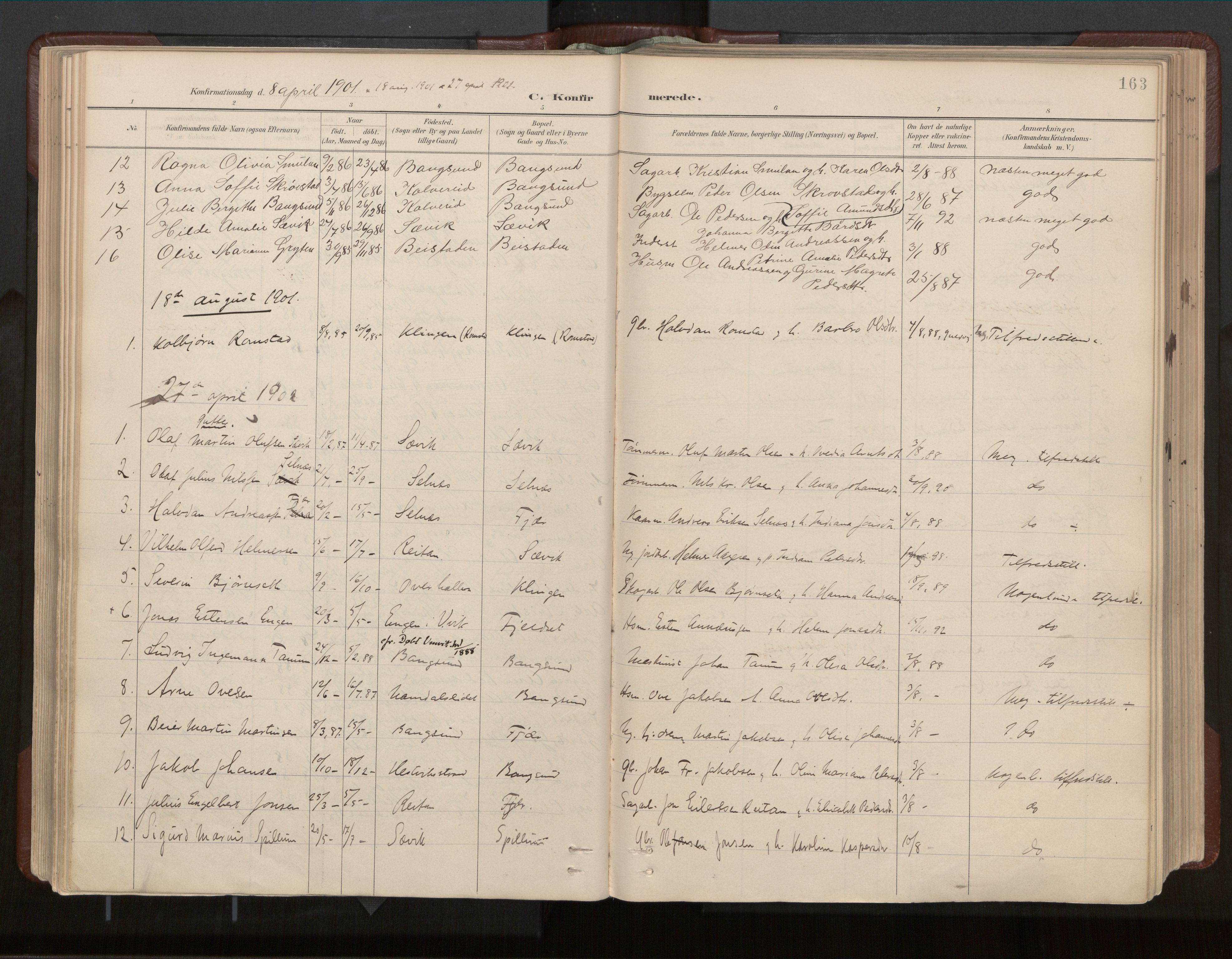 Ministerialprotokoller, klokkerbøker og fødselsregistre - Nord-Trøndelag, AV/SAT-A-1458/770/L0589: Ministerialbok nr. 770A03, 1887-1929, s. 163