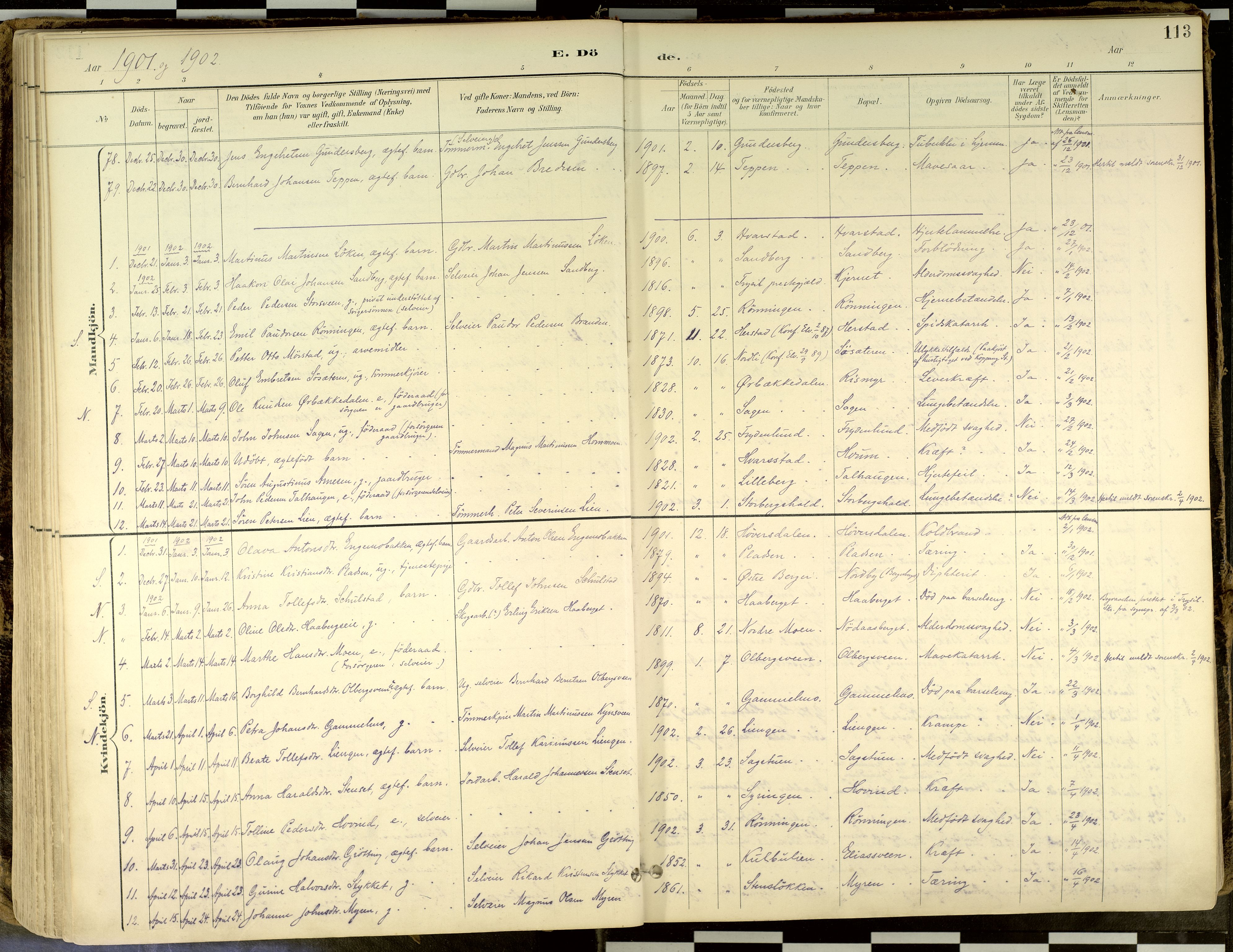 Elverum prestekontor, SAH/PREST-044/H/Ha/Haa/L0018: Ministerialbok nr. 18, 1894-1914, s. 113