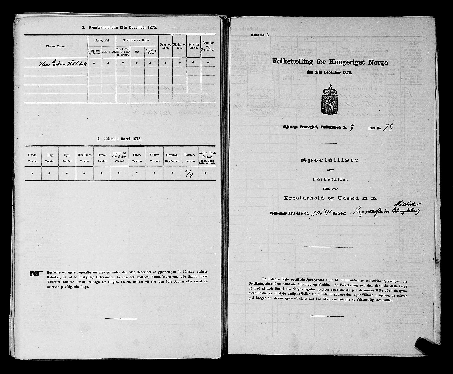 RA, Folketelling 1875 for 0115P Skjeberg prestegjeld, 1875, s. 1319