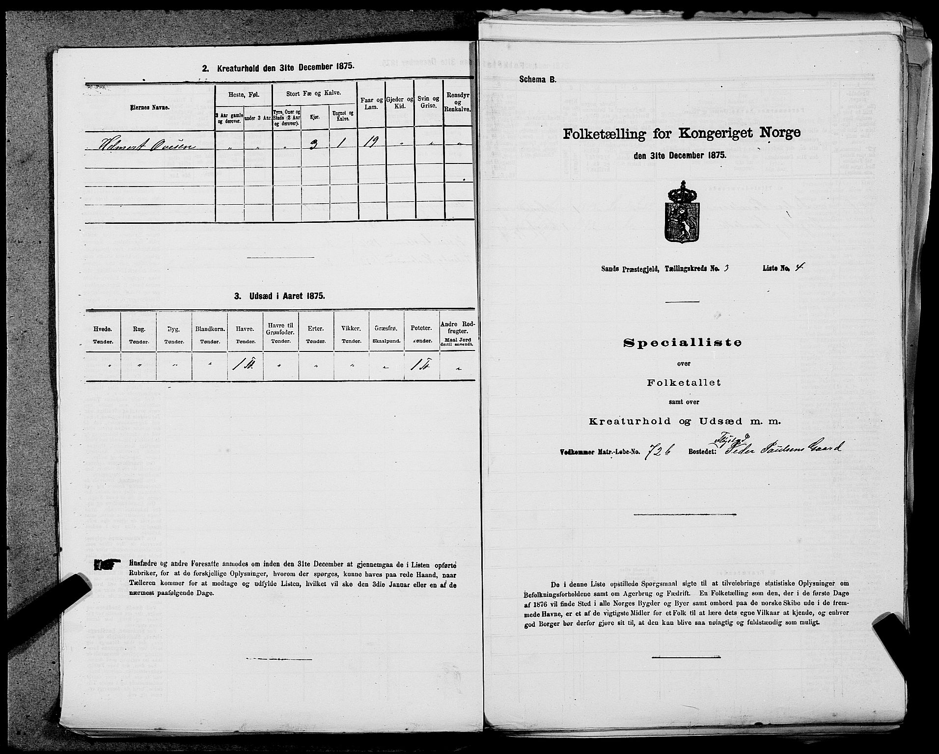 SAST, Folketelling 1875 for 1136P Sand prestegjeld, 1875, s. 1015