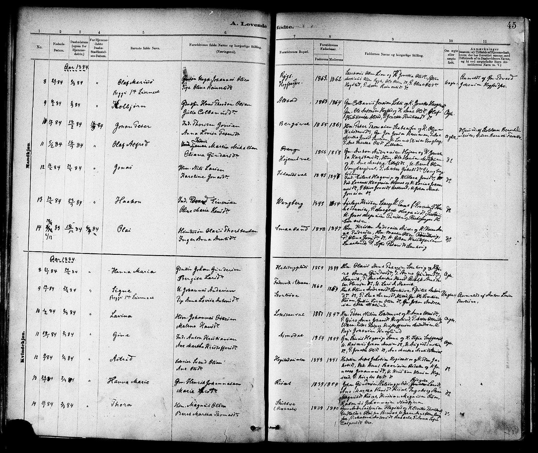 Ministerialprotokoller, klokkerbøker og fødselsregistre - Nord-Trøndelag, SAT/A-1458/713/L0120: Ministerialbok nr. 713A09, 1878-1887, s. 45