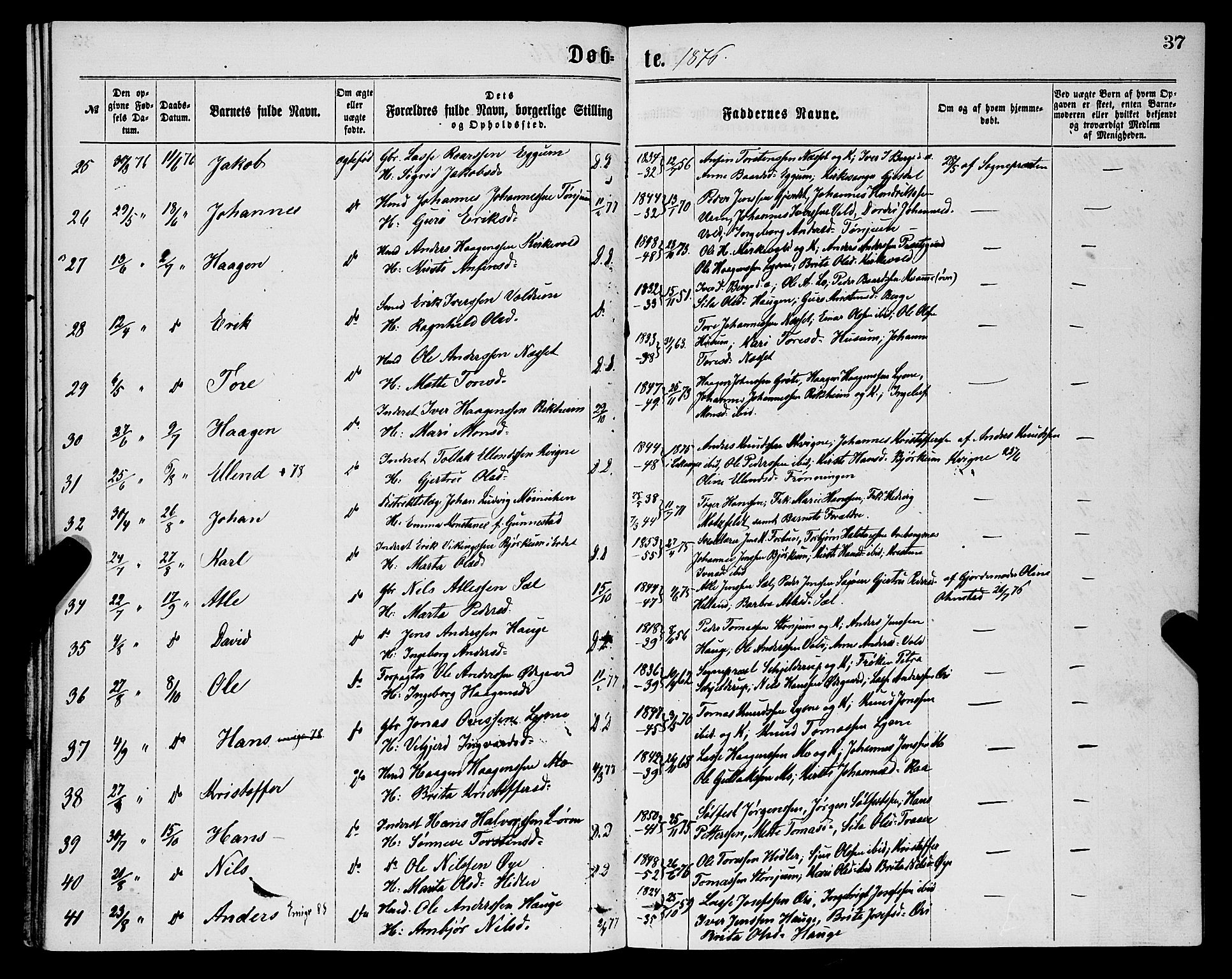Lærdal sokneprestembete, AV/SAB-A-81201: Ministerialbok nr. A 12, 1867-1877, s. 37