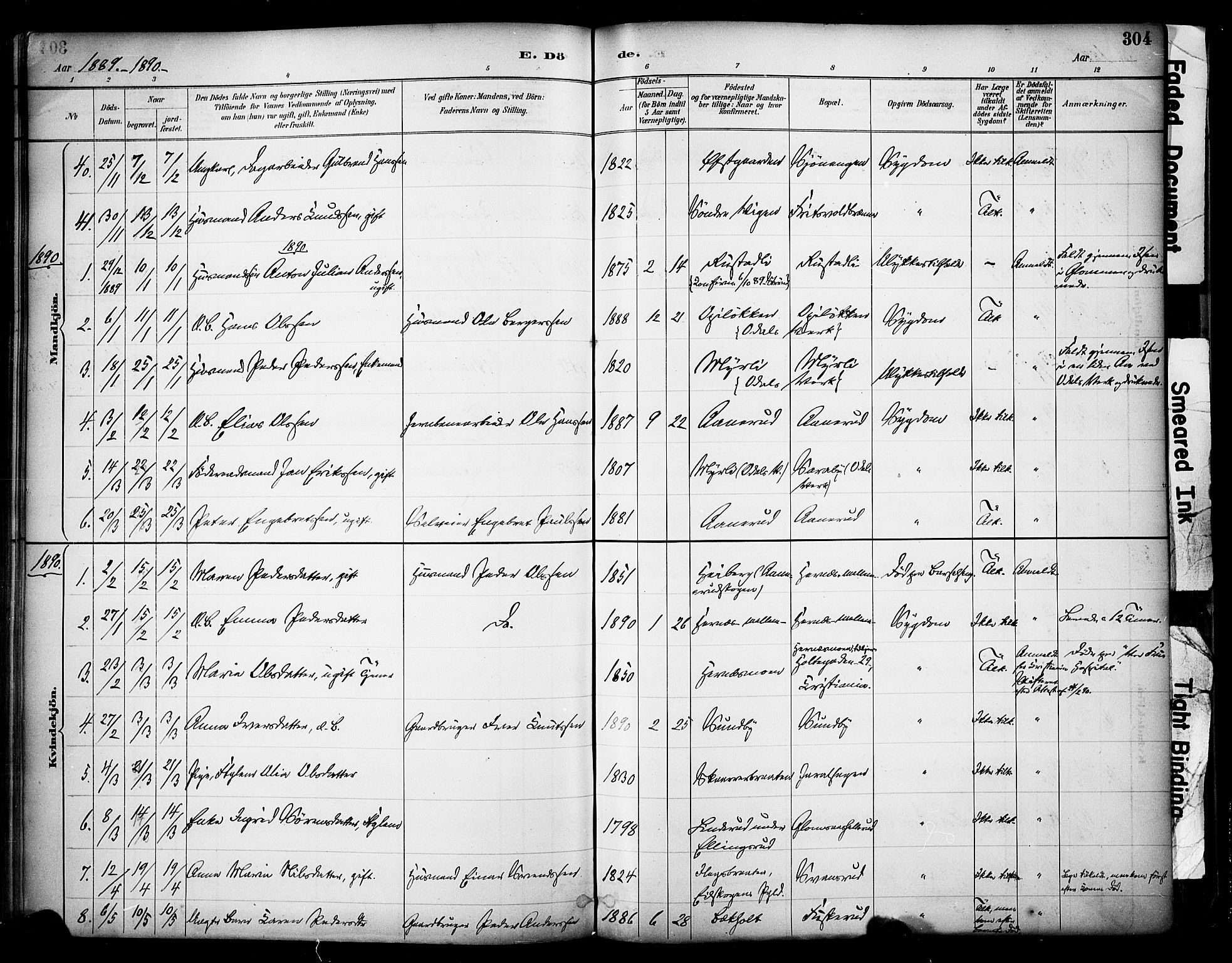 Sør-Odal prestekontor, AV/SAH-PREST-030/H/Ha/Haa/L0007: Ministerialbok nr. 7, 1886-1925, s. 304
