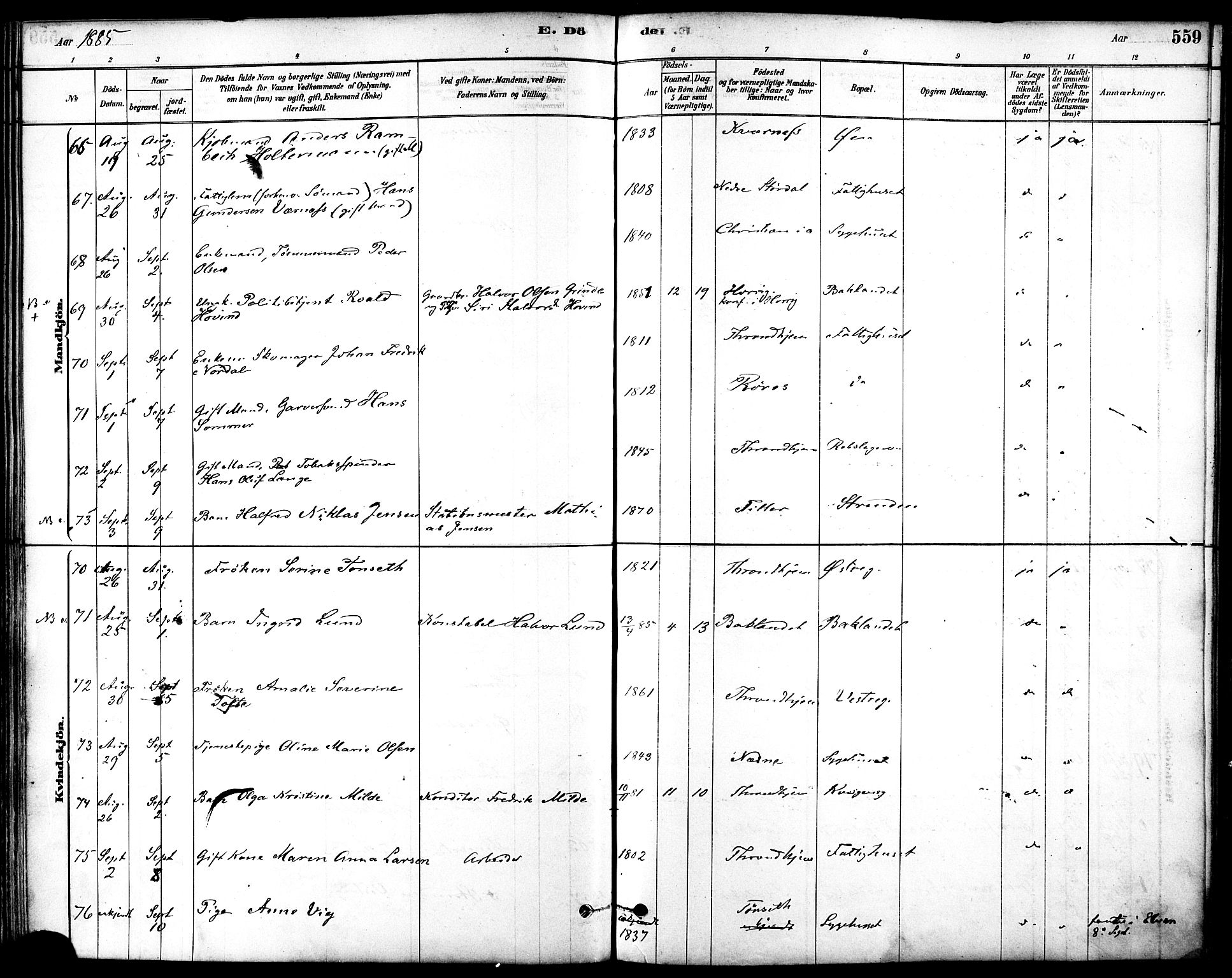 Ministerialprotokoller, klokkerbøker og fødselsregistre - Sør-Trøndelag, AV/SAT-A-1456/601/L0058: Ministerialbok nr. 601A26, 1877-1891, s. 559