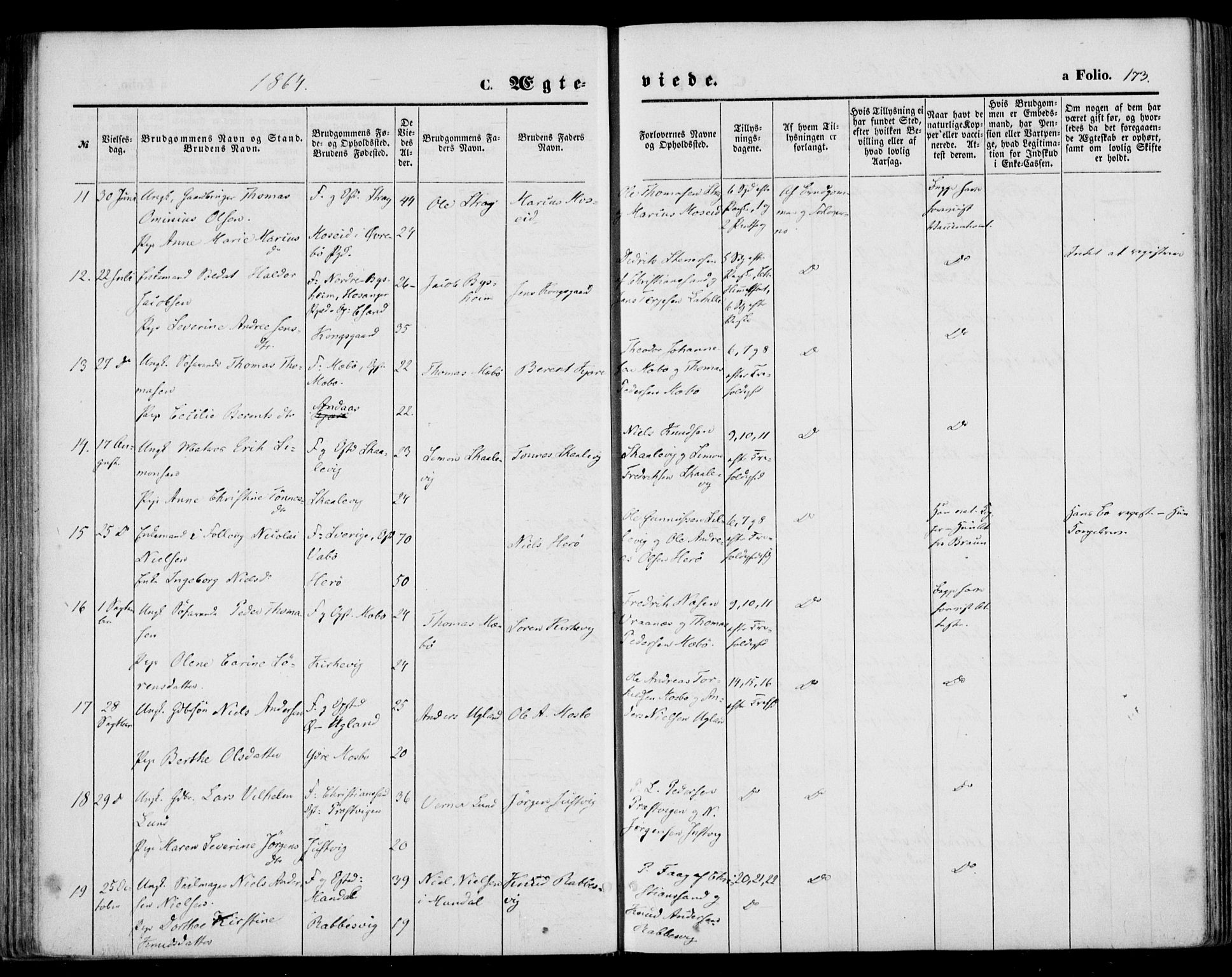 Oddernes sokneprestkontor, SAK/1111-0033/F/Fa/Faa/L0008: Ministerialbok nr. A 8, 1864-1880, s. 173