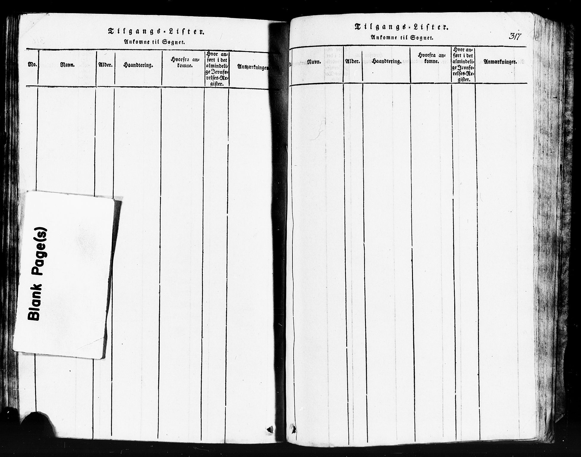 Klepp sokneprestkontor, AV/SAST-A-101803/001/3/30BB/L0001: Klokkerbok nr.  B 1, 1816-1859, s. 317