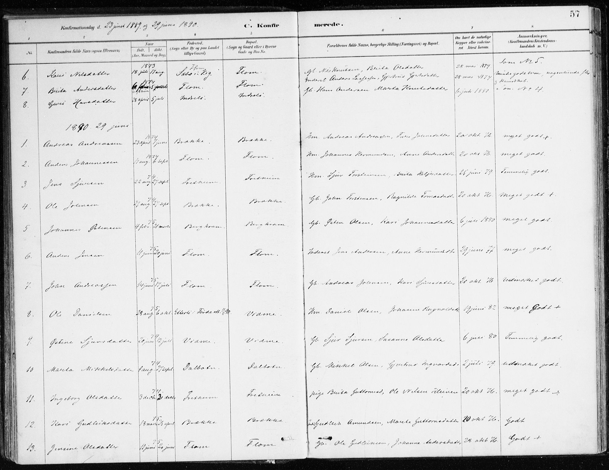 Aurland sokneprestembete, AV/SAB-A-99937/H/Ha/Hac/L0001: Ministerialbok nr. C 1, 1880-1921, s. 57