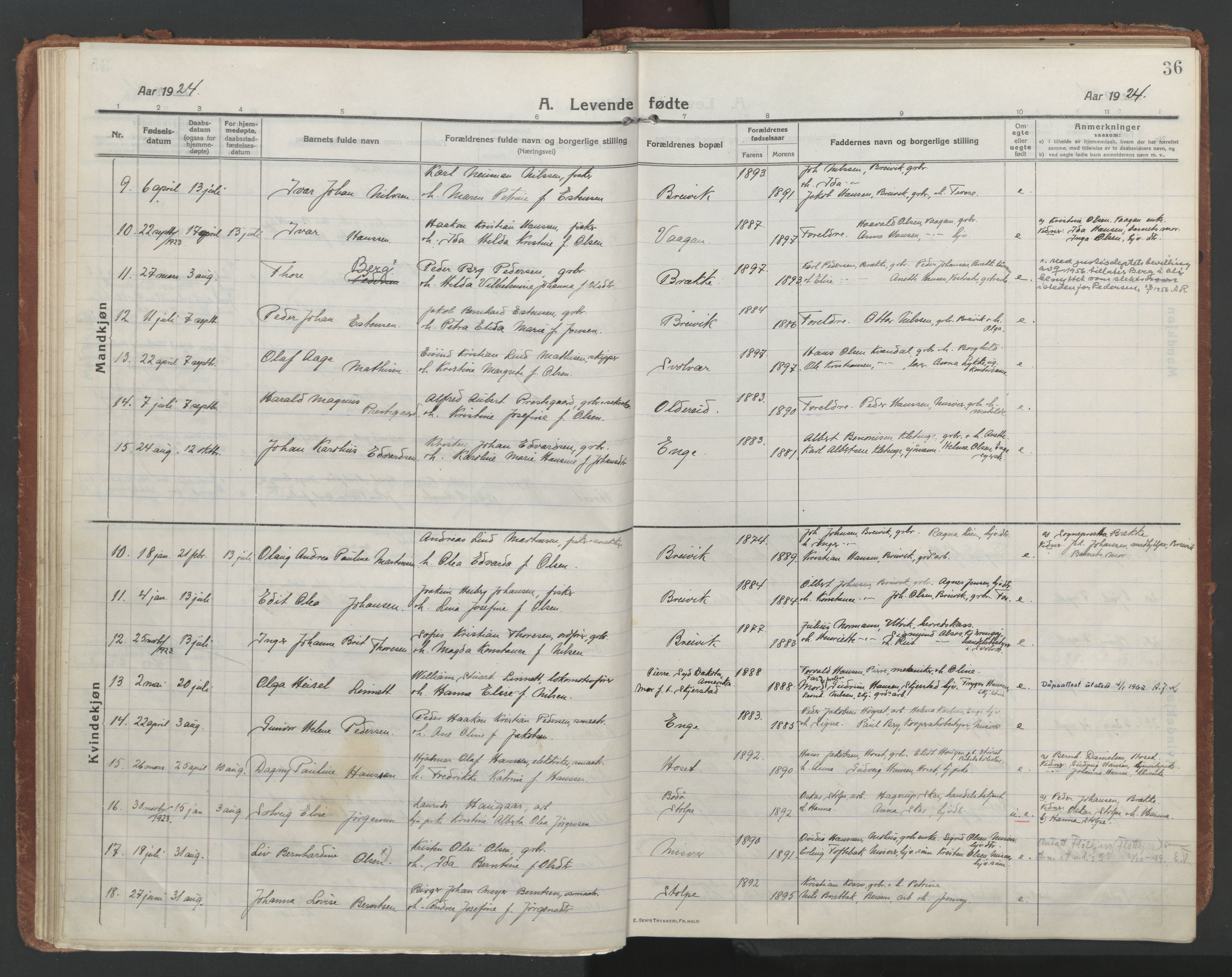 Ministerialprotokoller, klokkerbøker og fødselsregistre - Nordland, AV/SAT-A-1459/852/L0748: Ministerialbok nr. 852A18, 1913-1932, s. 36