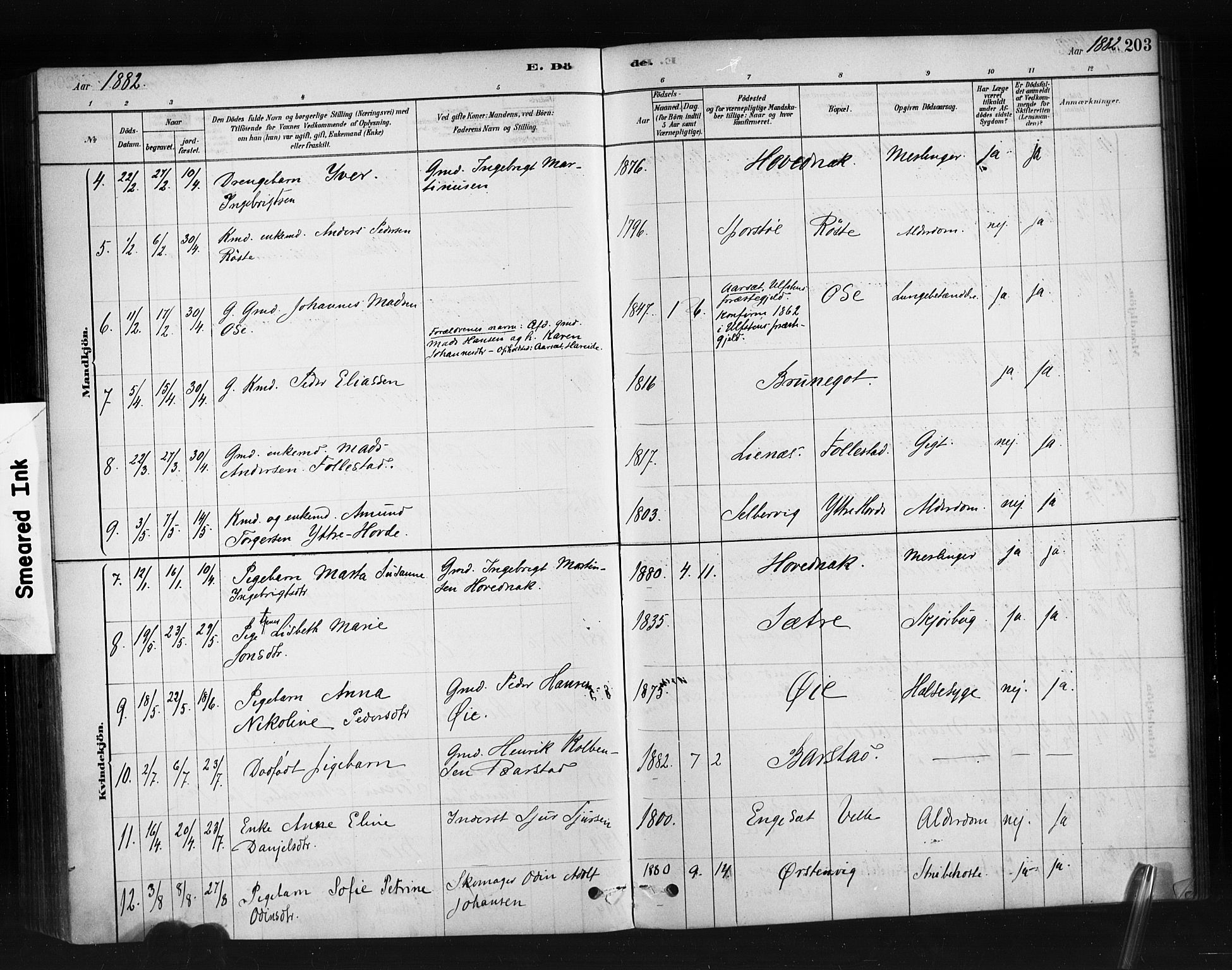 Ministerialprotokoller, klokkerbøker og fødselsregistre - Møre og Romsdal, AV/SAT-A-1454/513/L0176: Ministerialbok nr. 513A03, 1877-1889, s. 203