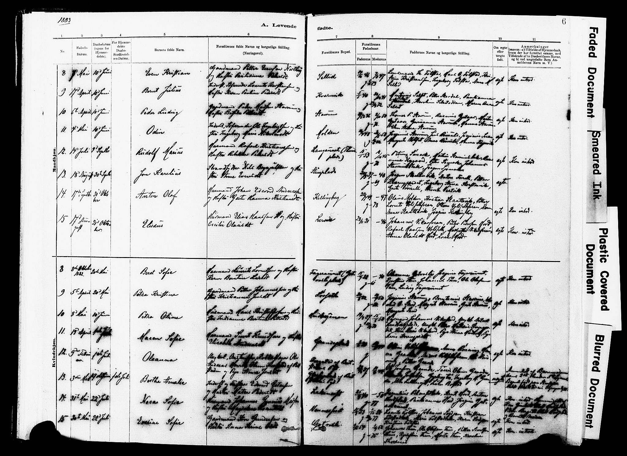 Ministerialprotokoller, klokkerbøker og fødselsregistre - Nord-Trøndelag, SAT/A-1458/744/L0420: Ministerialbok nr. 744A04, 1882-1904, s. 6