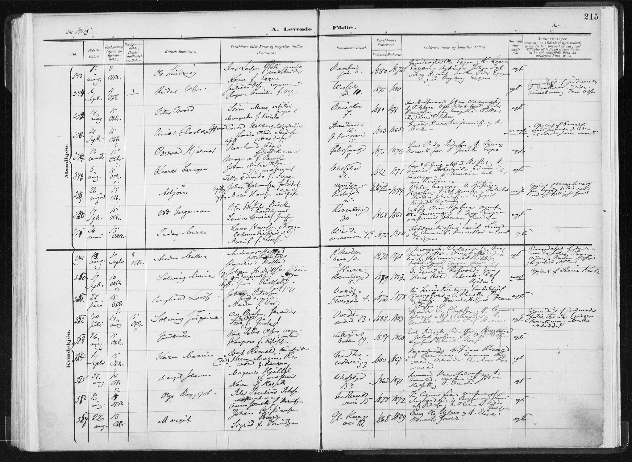 Ministerialprotokoller, klokkerbøker og fødselsregistre - Sør-Trøndelag, AV/SAT-A-1456/604/L0199: Ministerialbok nr. 604A20I, 1901-1906, s. 215