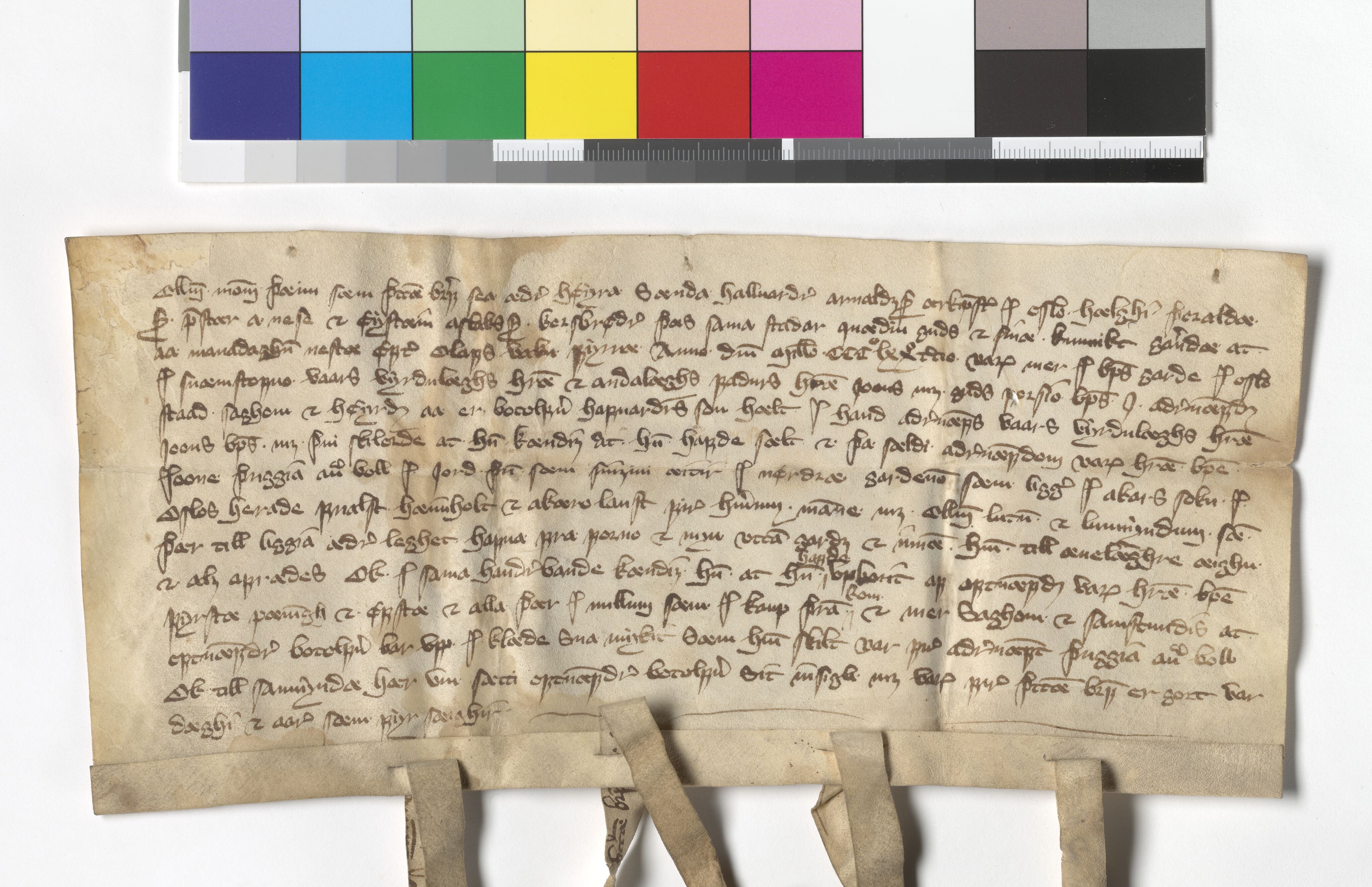 Riksarkivets diplomsamling, AV/RA-EA-5965/F05/L0177: NRA AM fasc. 72 nr. 10-17, 1372-1373, s. 12