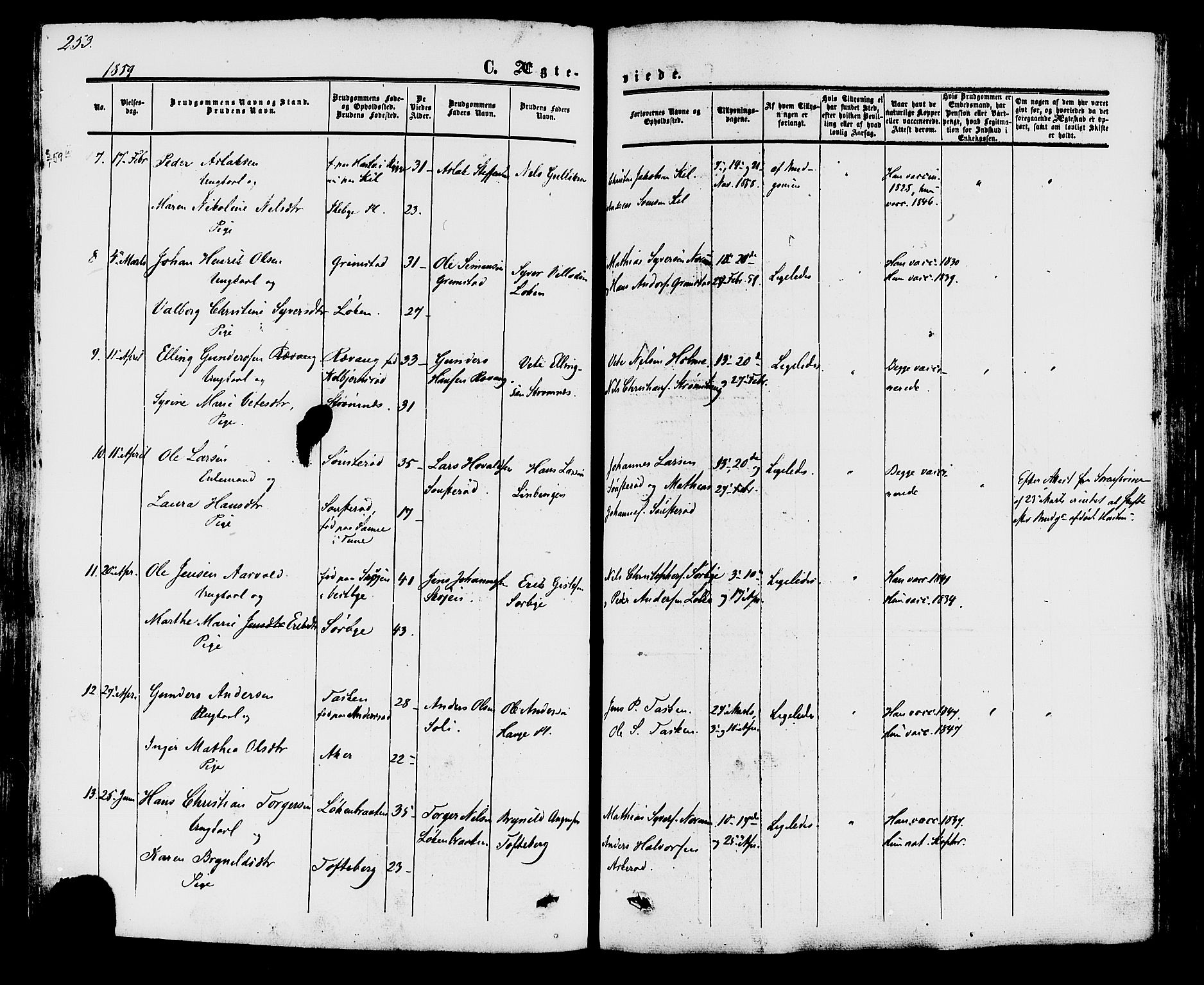 Råde prestekontor kirkebøker, AV/SAO-A-2009/F/Fa/L0006: Ministerialbok nr. 6, 1854-1877, s. 253