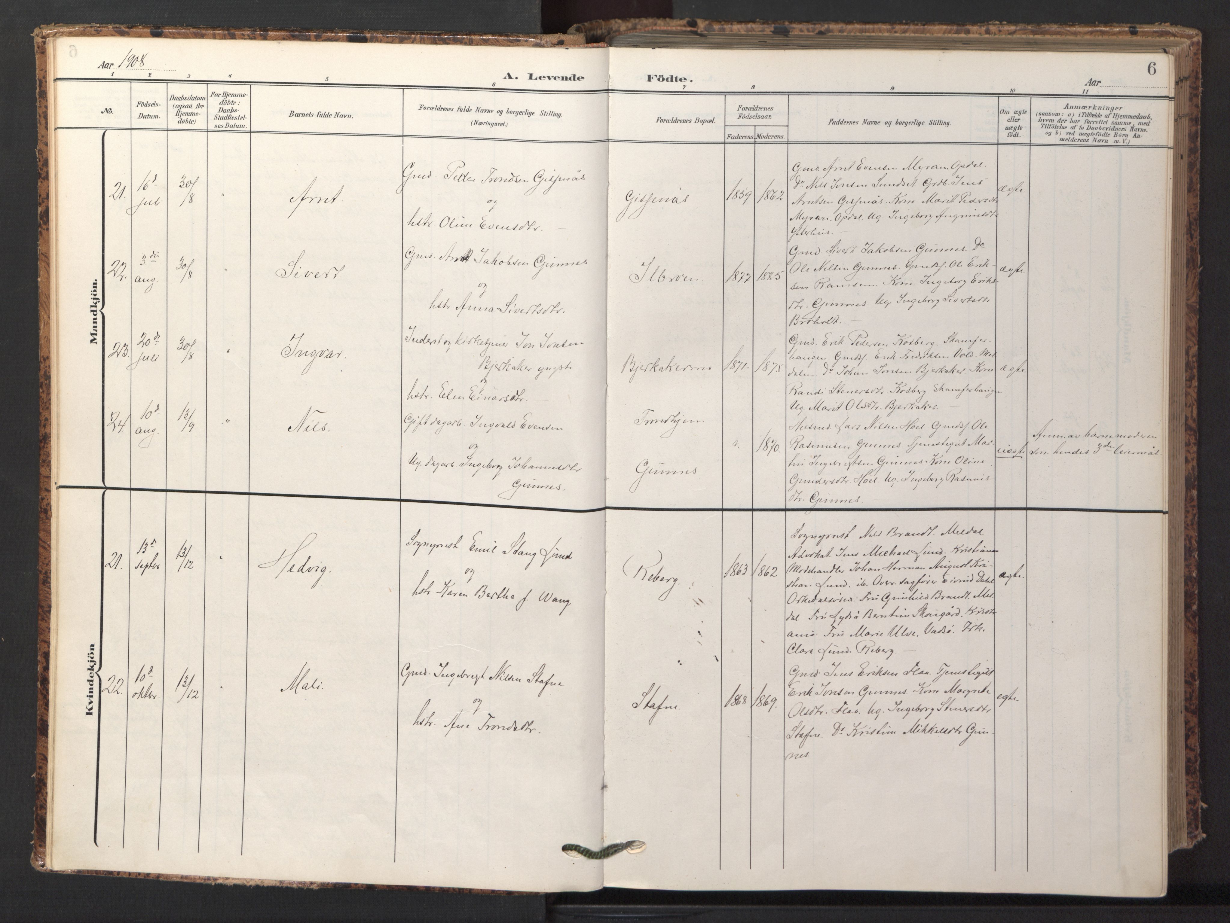 Ministerialprotokoller, klokkerbøker og fødselsregistre - Sør-Trøndelag, AV/SAT-A-1456/674/L0873: Ministerialbok nr. 674A05, 1908-1923, s. 6