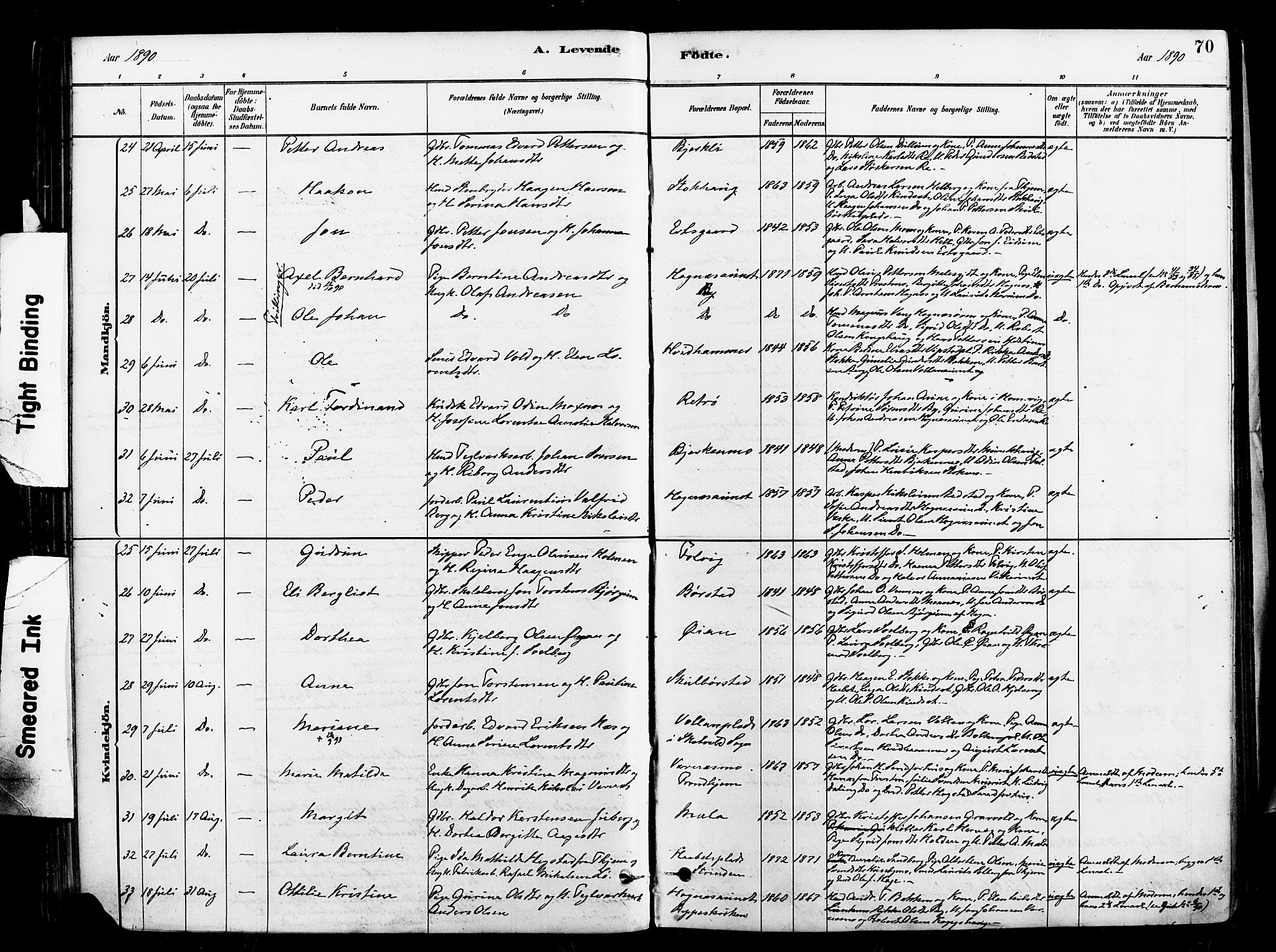 Ministerialprotokoller, klokkerbøker og fødselsregistre - Nord-Trøndelag, AV/SAT-A-1458/709/L0077: Ministerialbok nr. 709A17, 1880-1895, s. 70