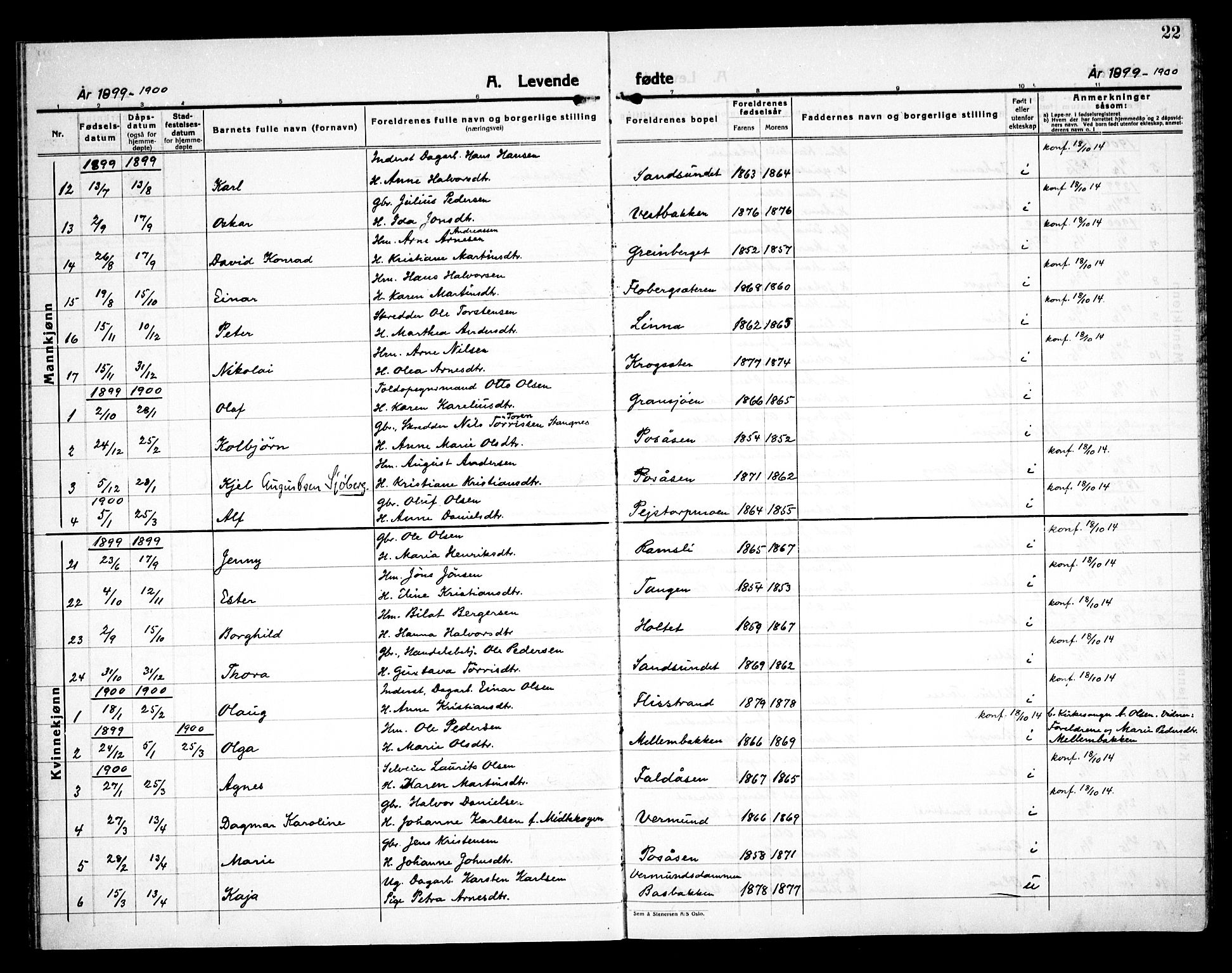 Åsnes prestekontor, SAH/PREST-042/H/Ha/Haa/L0000E: Ministerialbok nr. 0C, 1890-1929, s. 22