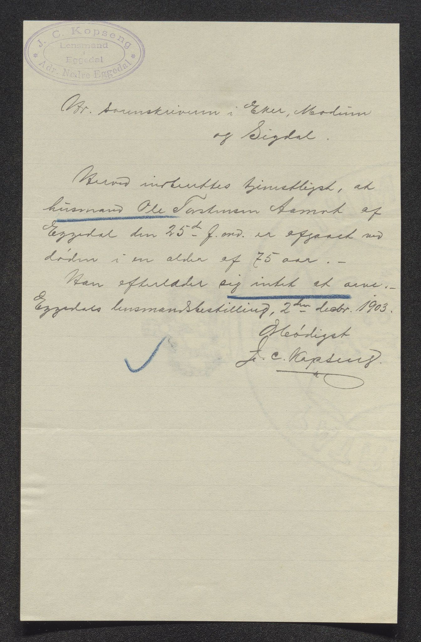 Eiker, Modum og Sigdal sorenskriveri, SAKO/A-123/H/Ha/Hab/L0030: Dødsfallsmeldinger, 1903-1905, s. 340