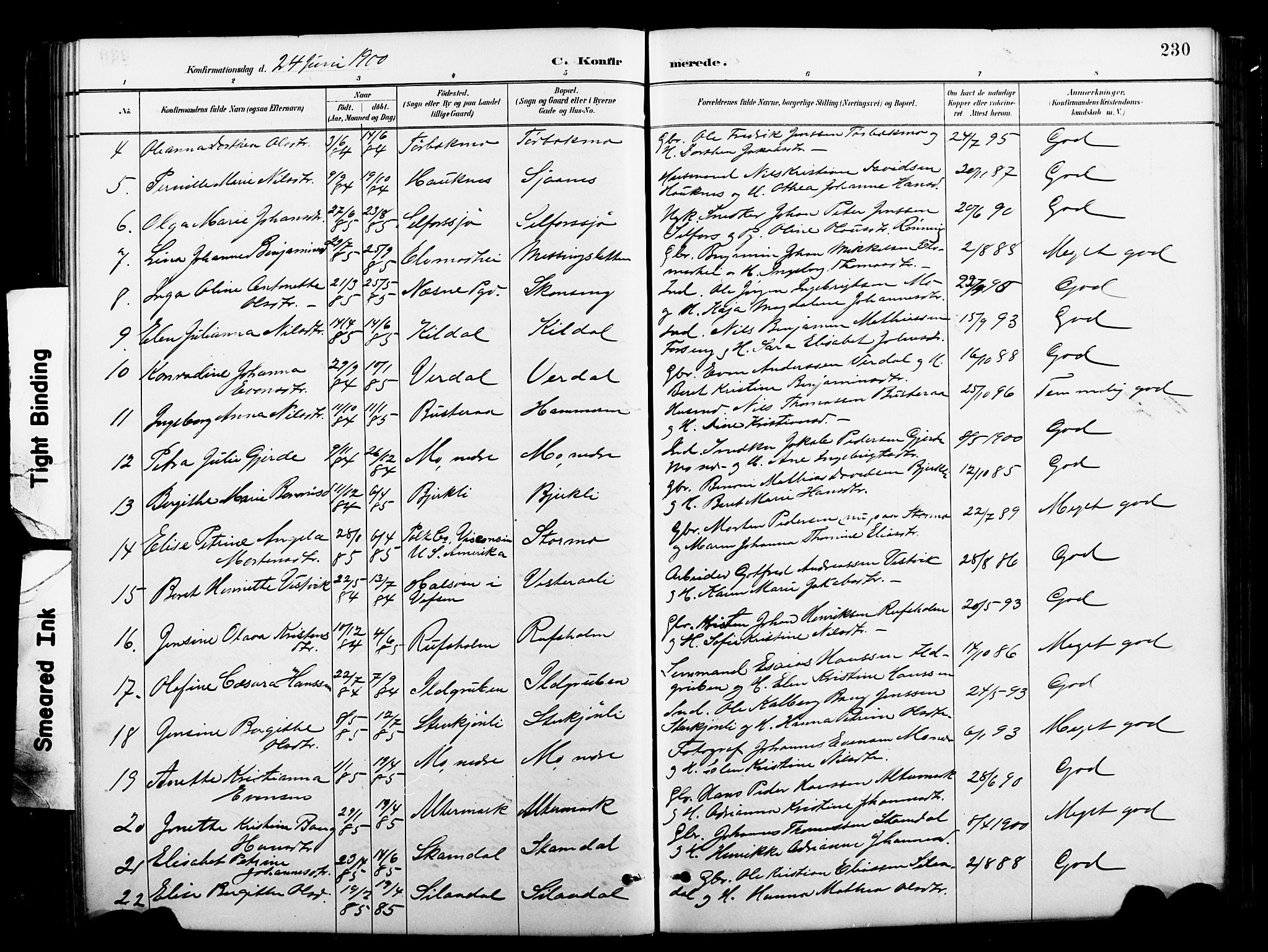 Ministerialprotokoller, klokkerbøker og fødselsregistre - Nordland, AV/SAT-A-1459/827/L0421: Klokkerbok nr. 827C10, 1887-1906, s. 230