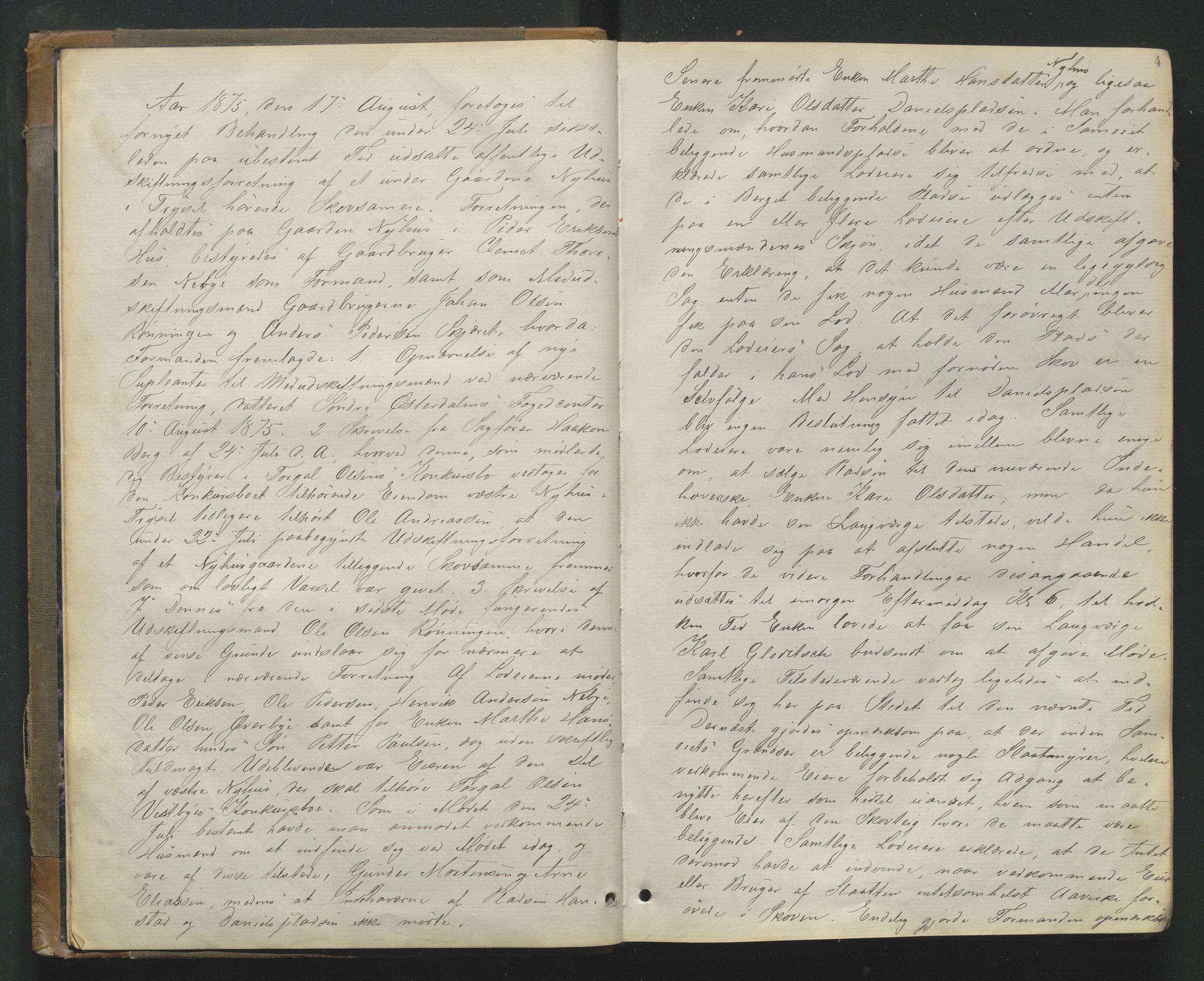 Utskiftningsformannen i Hedmark fylke, AV/SAH-JORDSKIFTEH-001/H/Ha/L0007/0002: Forhandlingsprotokoller, nr. 16 og 17 / Forhandlingsprotokoll nr. 17, 1875-1881