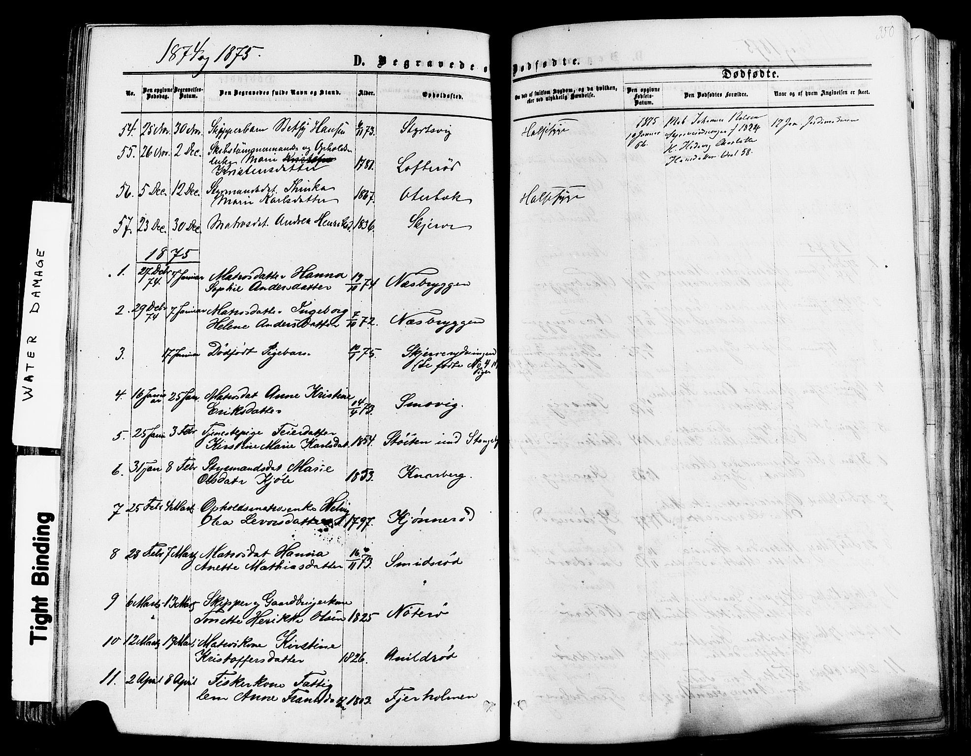 Nøtterøy kirkebøker, AV/SAKO-A-354/F/Fa/L0007: Ministerialbok nr. I 7, 1865-1877, s. 350