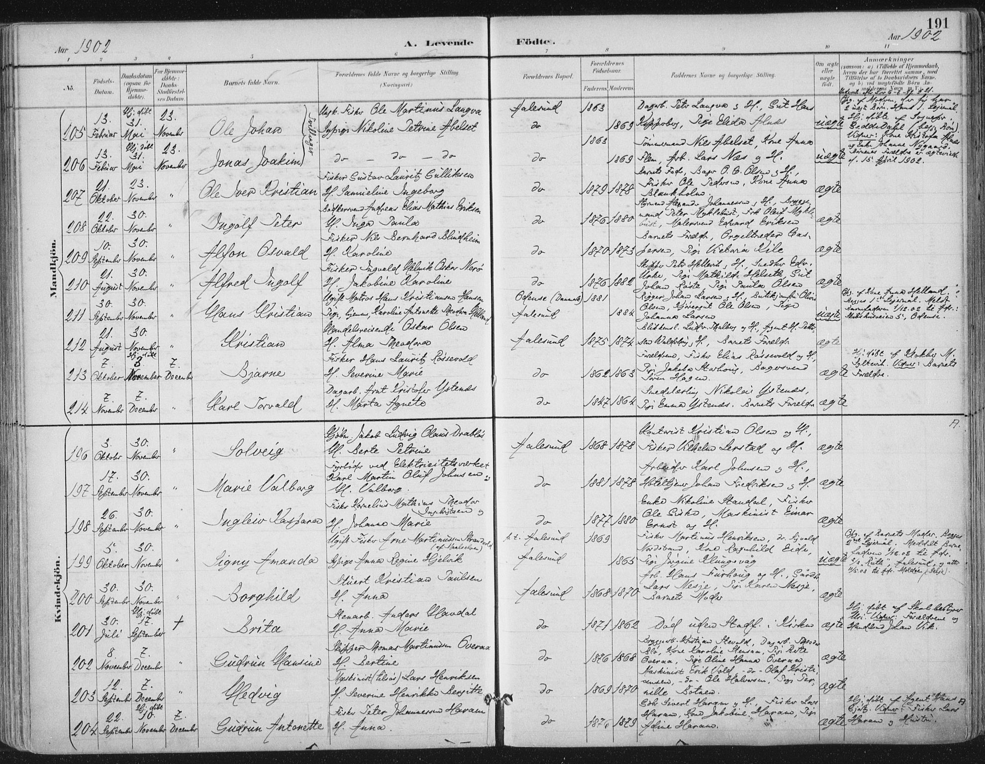 Ministerialprotokoller, klokkerbøker og fødselsregistre - Møre og Romsdal, AV/SAT-A-1454/529/L0456: Ministerialbok nr. 529A06, 1894-1906, s. 191