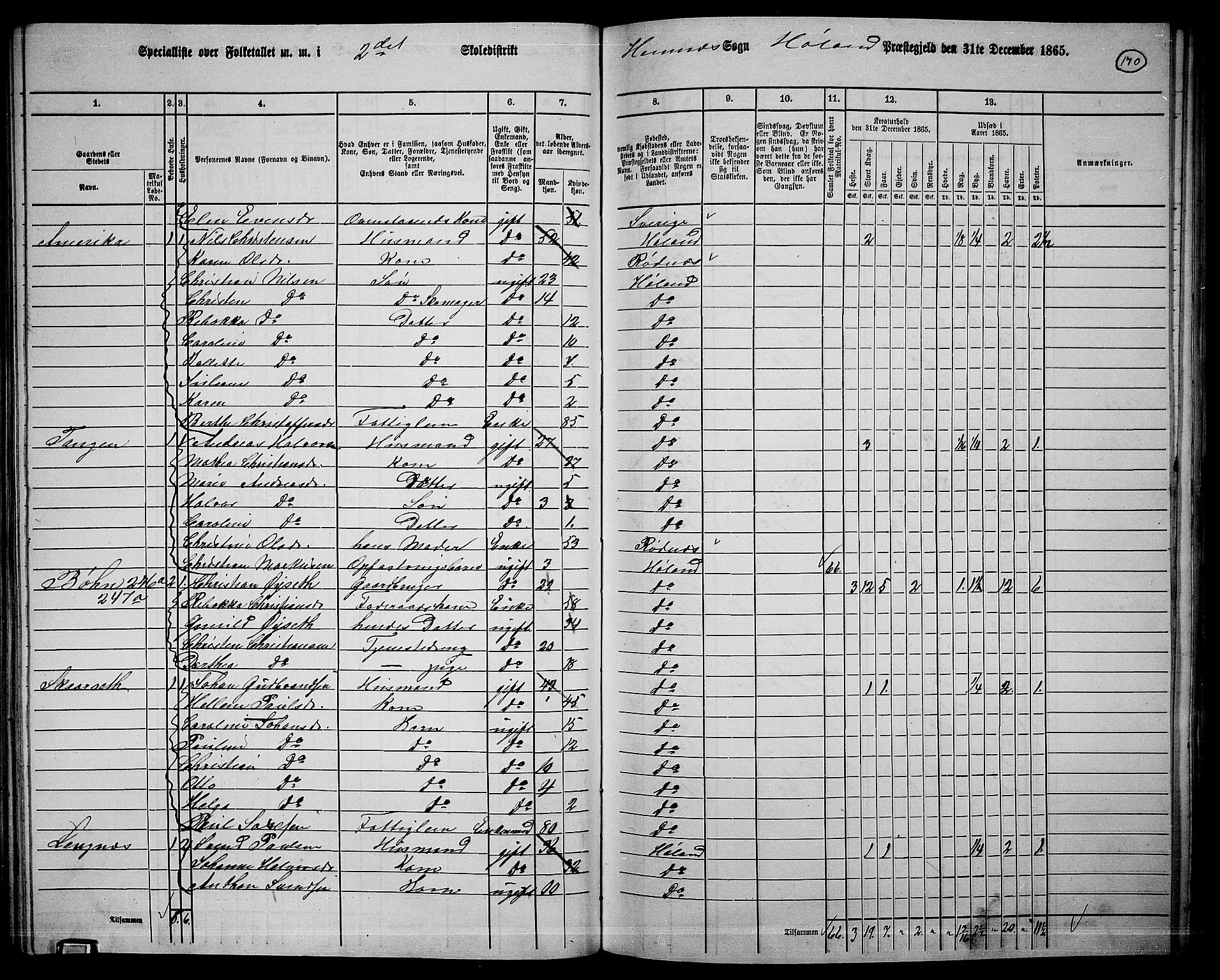 RA, Folketelling 1865 for 0221P Høland prestegjeld, 1865, s. 161