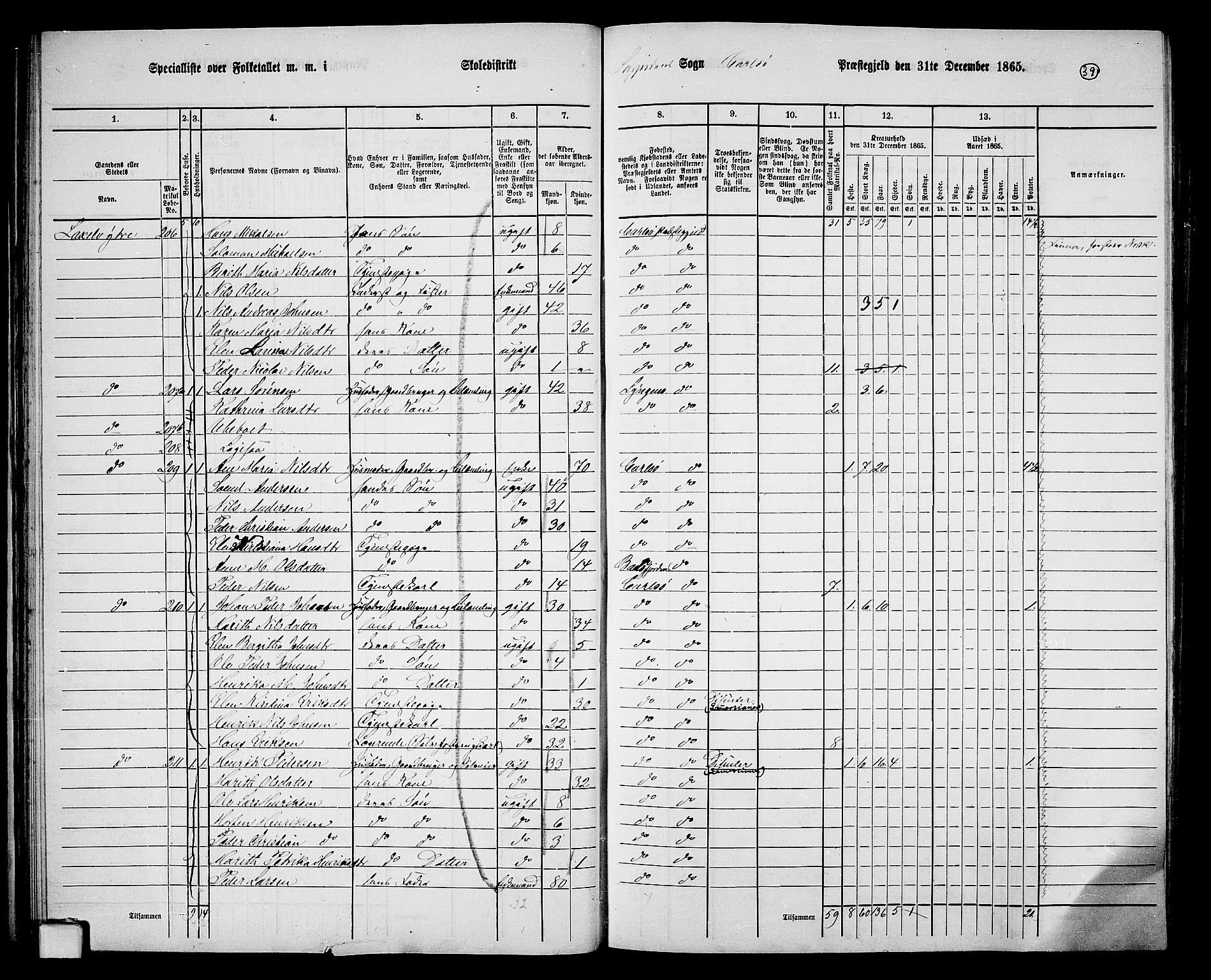 RA, Folketelling 1865 for 1936P Karlsøy prestegjeld, 1865, s. 39