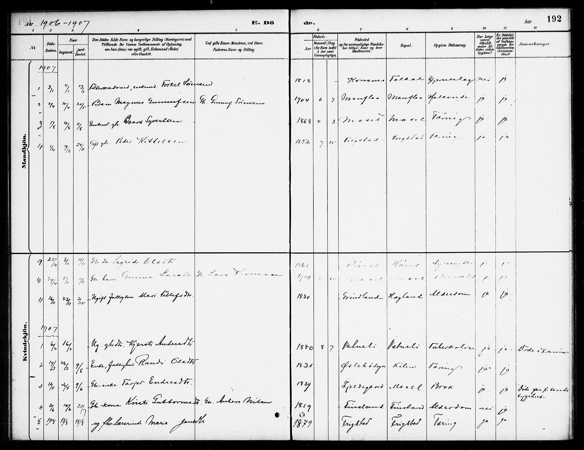 Bjelland sokneprestkontor, AV/SAK-1111-0005/F/Fa/Fab/L0004: Ministerialbok nr. A 4, 1887-1920, s. 192