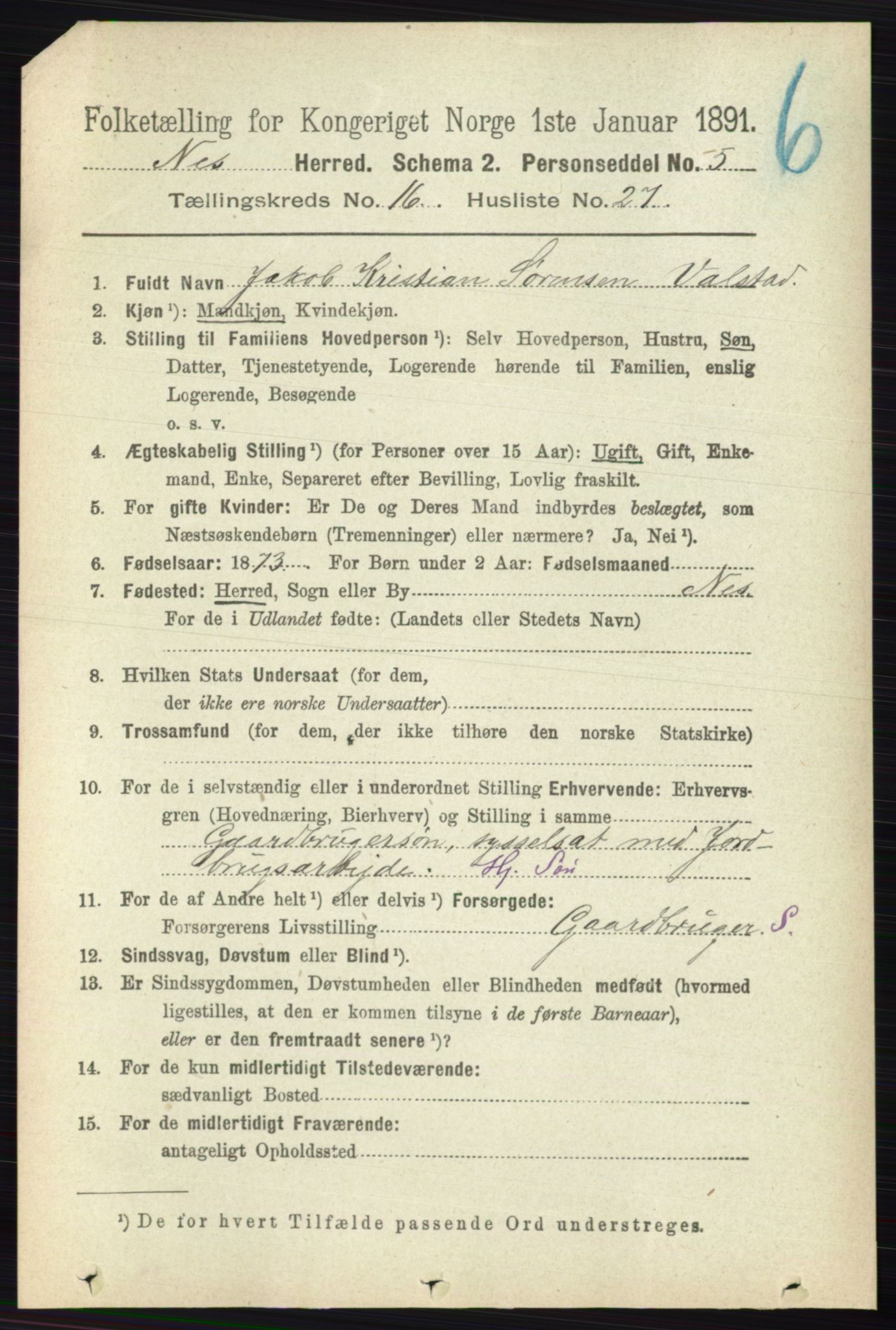 RA, Folketelling 1891 for 0236 Nes herred, 1891, s. 9714