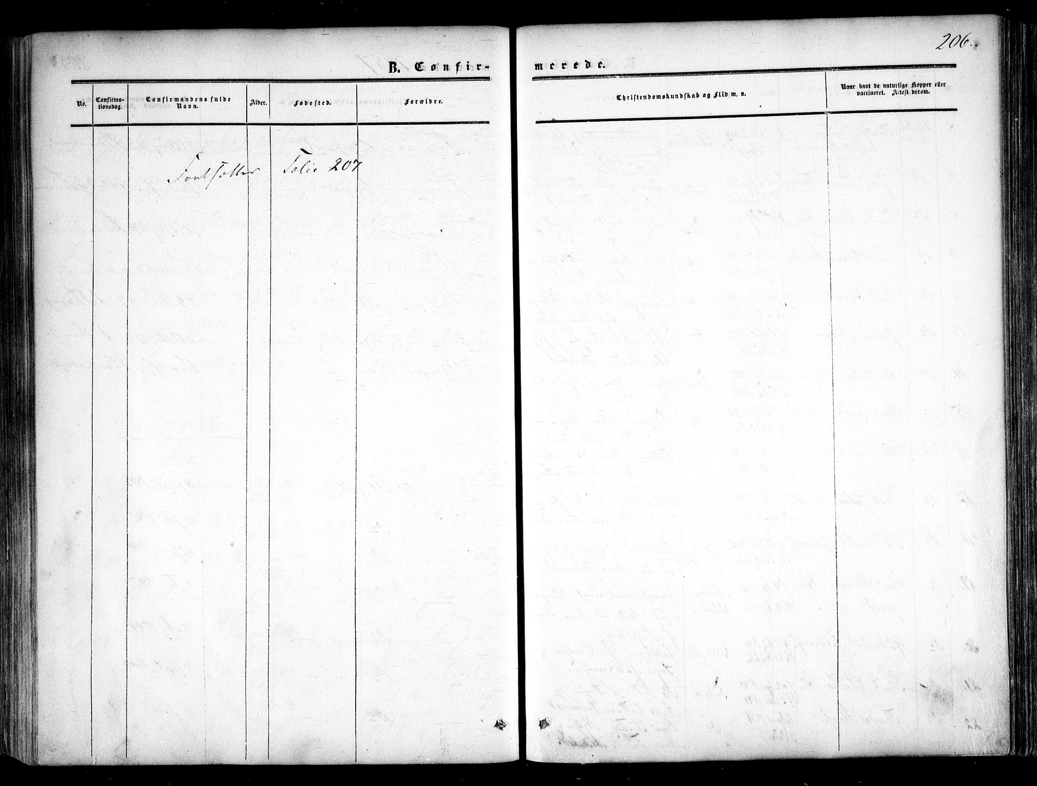 Halden prestekontor Kirkebøker, SAO/A-10909/F/Fa/L0007: Ministerialbok nr. I 7, 1857-1865, s. 206