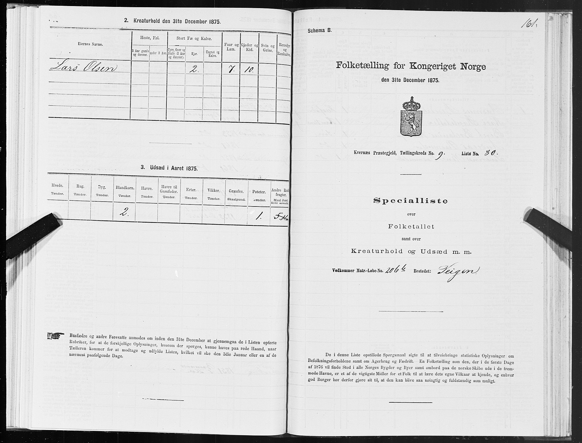 SAT, Folketelling 1875 for 1553P Kvernes prestegjeld, 1875, s. 5161