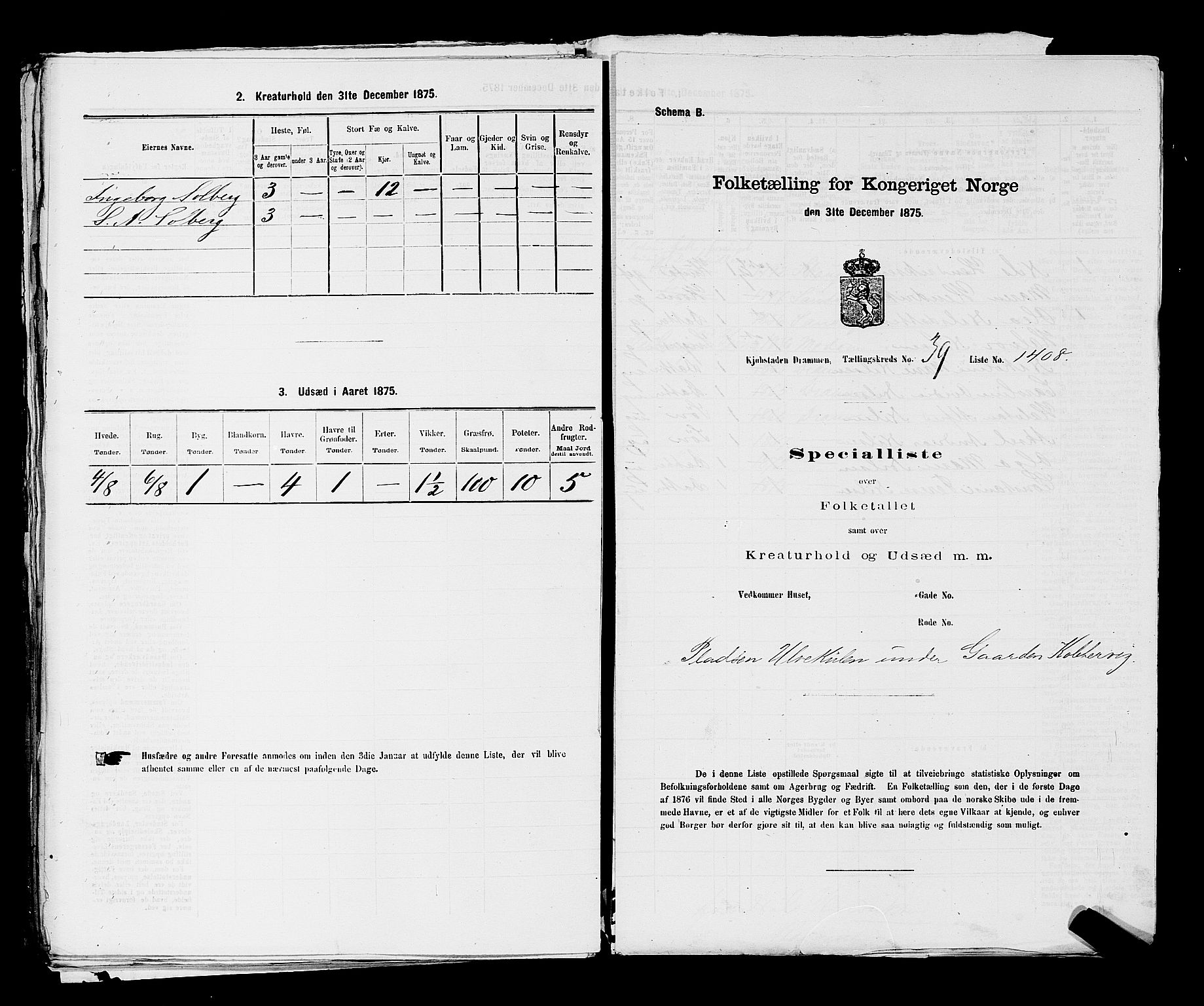 SAKO, Folketelling 1875 for 0602 Drammen kjøpstad, 1875, s. 3369