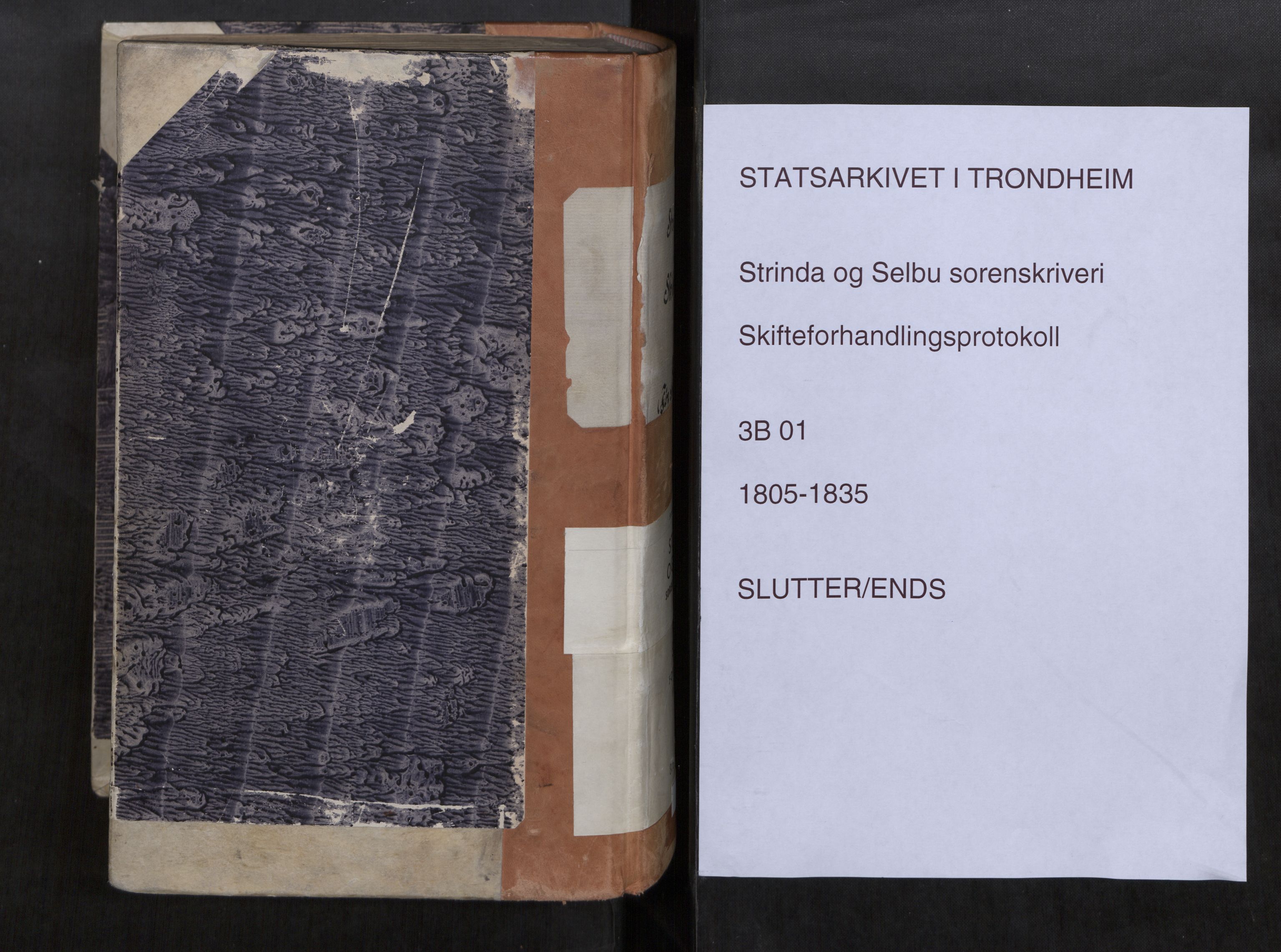 Strinda og Selbu sorenskriveri, AV/SAT-A-0015/3/3B/L0001: Skifteforhandlingsprot. 1, 1805-1835