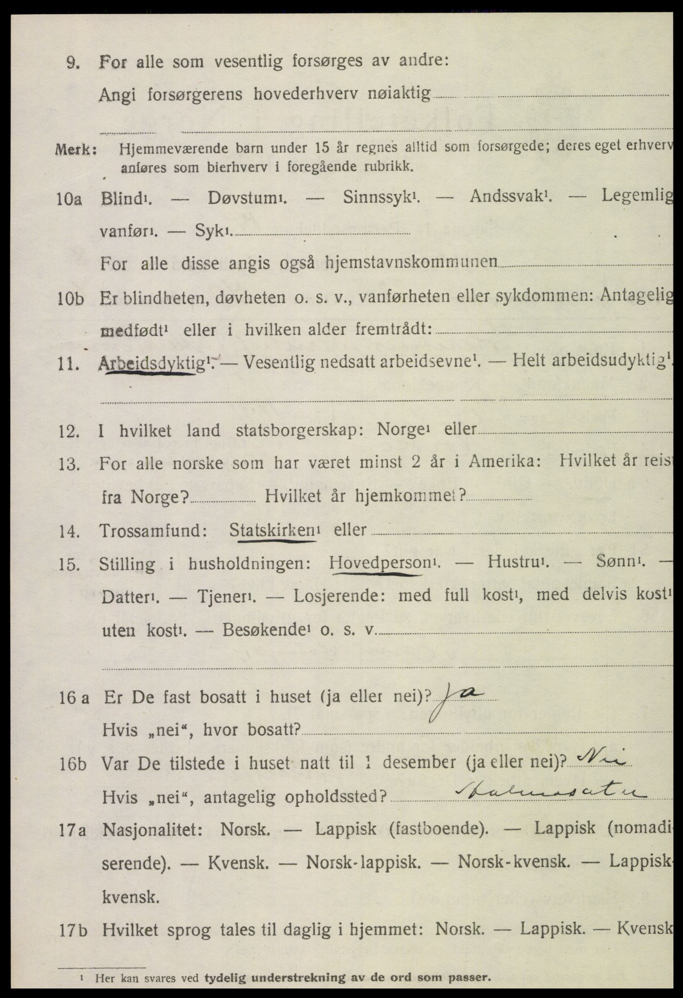 SAT, Folketelling 1920 for 1736 Snåsa herred, 1920, s. 3453