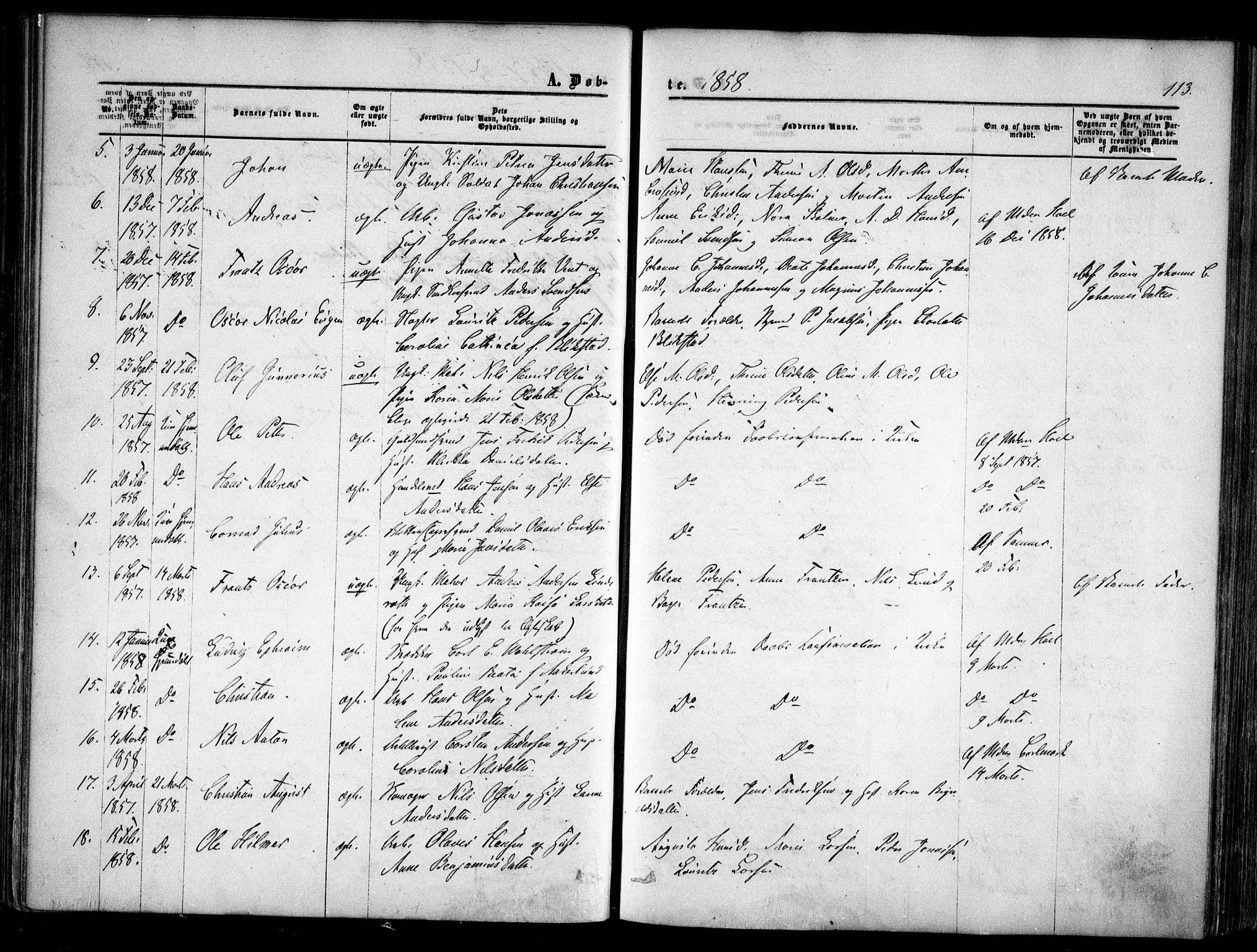 Halden prestekontor Kirkebøker, AV/SAO-A-10909/F/Fa/L0007: Ministerialbok nr. I 7, 1857-1865, s. 113