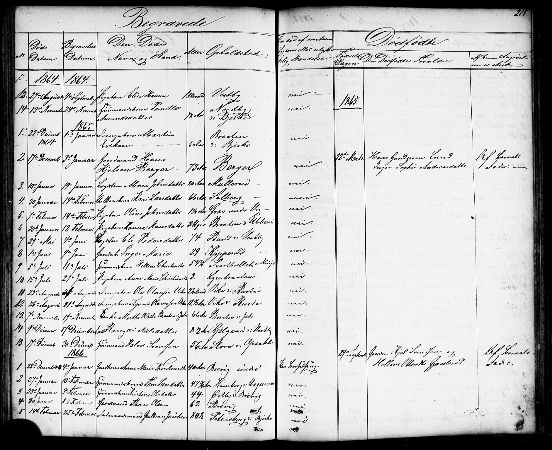 Enebakk prestekontor Kirkebøker, AV/SAO-A-10171c/G/Gb/L0001: Klokkerbok nr. II 1, 1859-1890, s. 215
