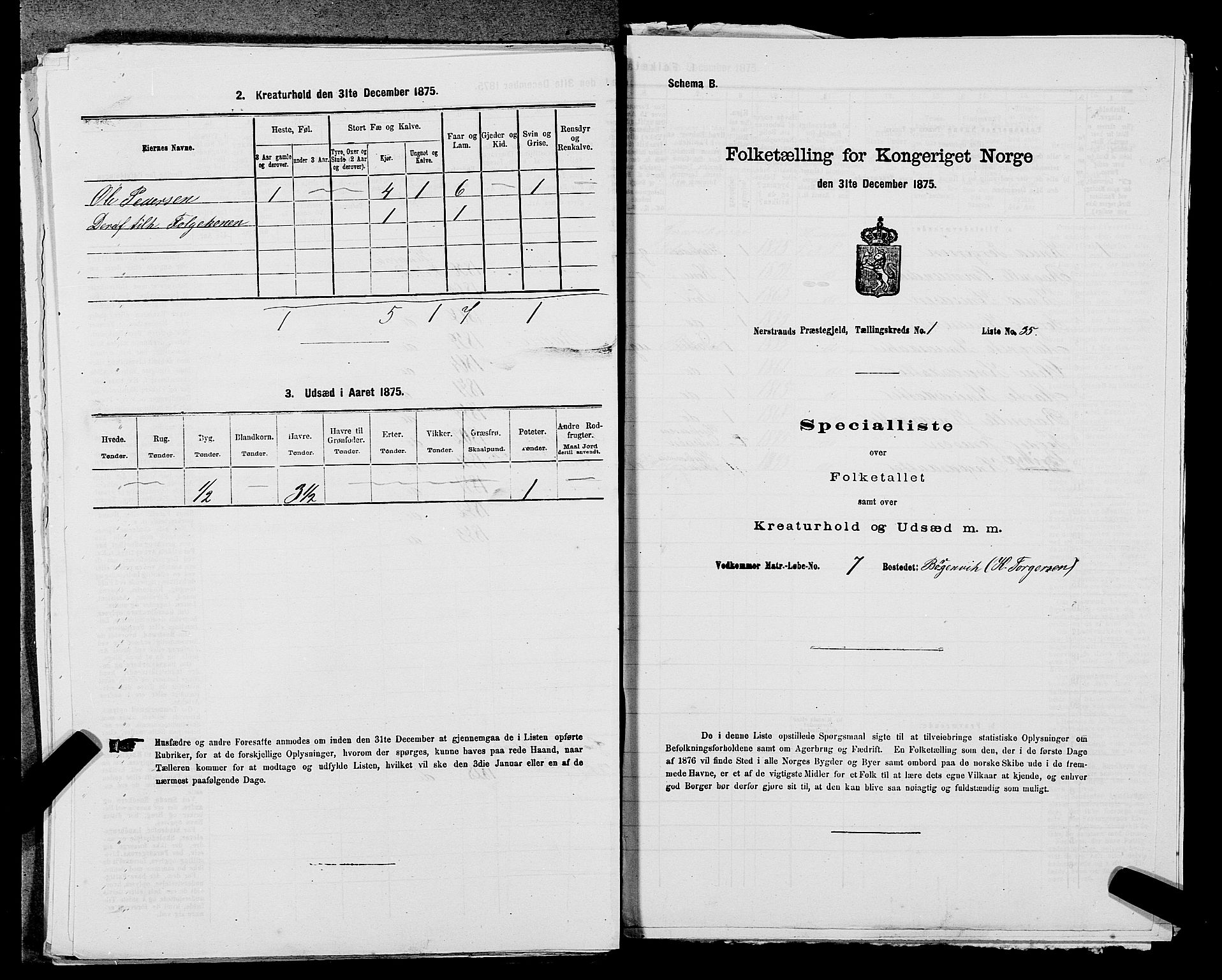 SAST, Folketelling 1875 for 1139P Nedstrand prestegjeld, 1875, s. 114