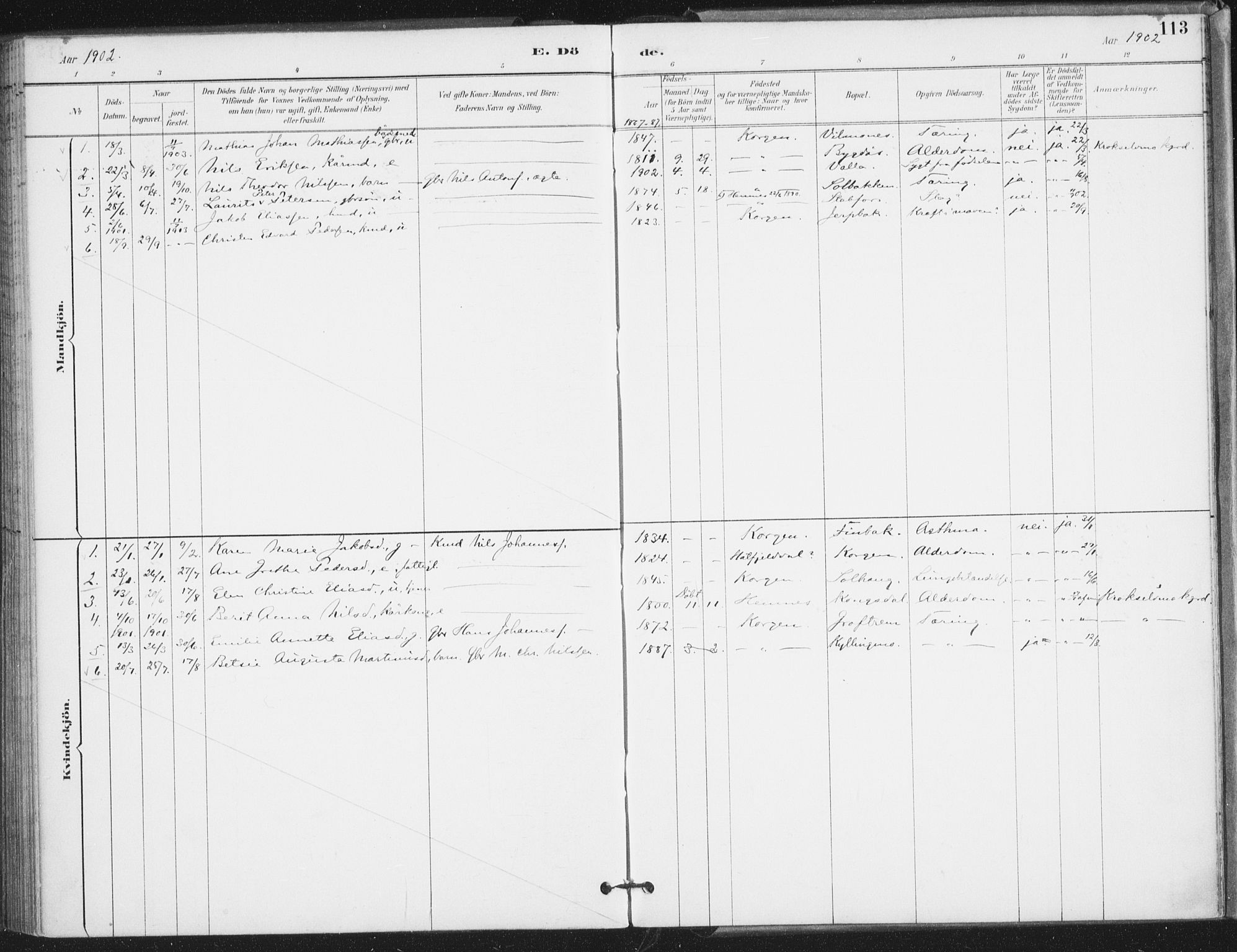 Ministerialprotokoller, klokkerbøker og fødselsregistre - Nordland, SAT/A-1459/826/L0380: Ministerialbok nr. 826A03, 1891-1911, s. 113