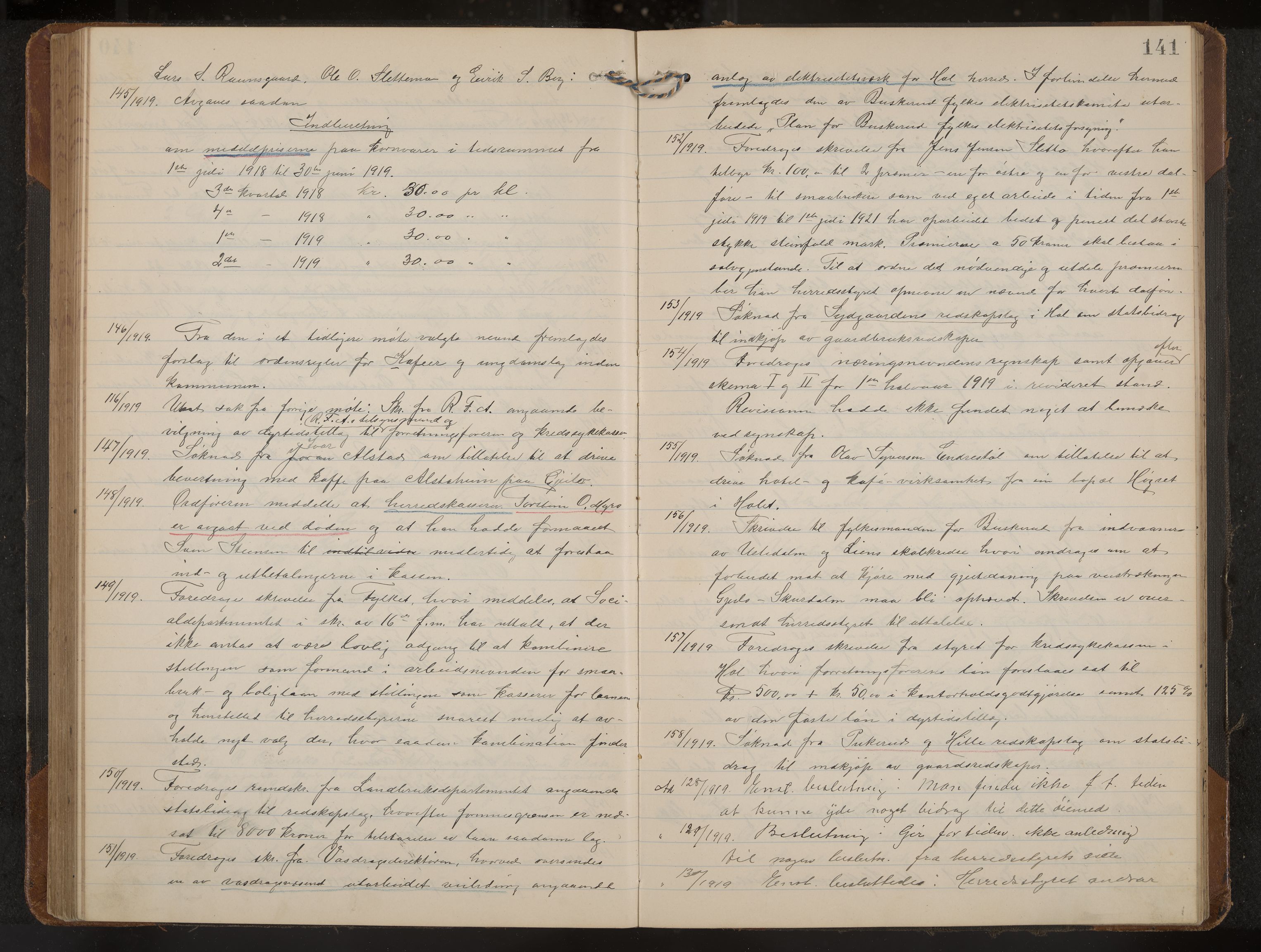 Hol formannskap og sentraladministrasjon, IKAK/0620021-1/A/L0006: Møtebok, 1916-1922, s. 141