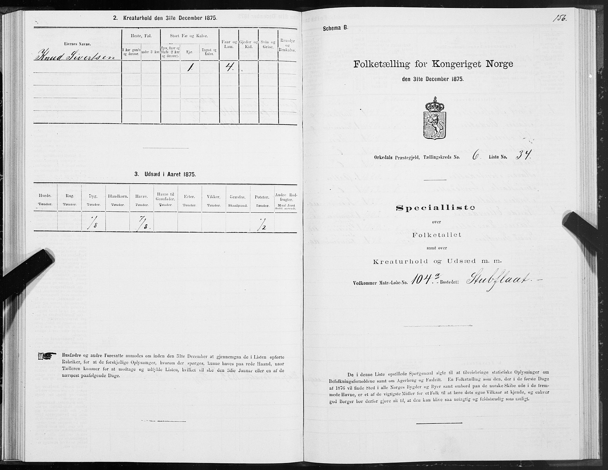 SAT, Folketelling 1875 for 1638P Orkdal prestegjeld, 1875, s. 3156