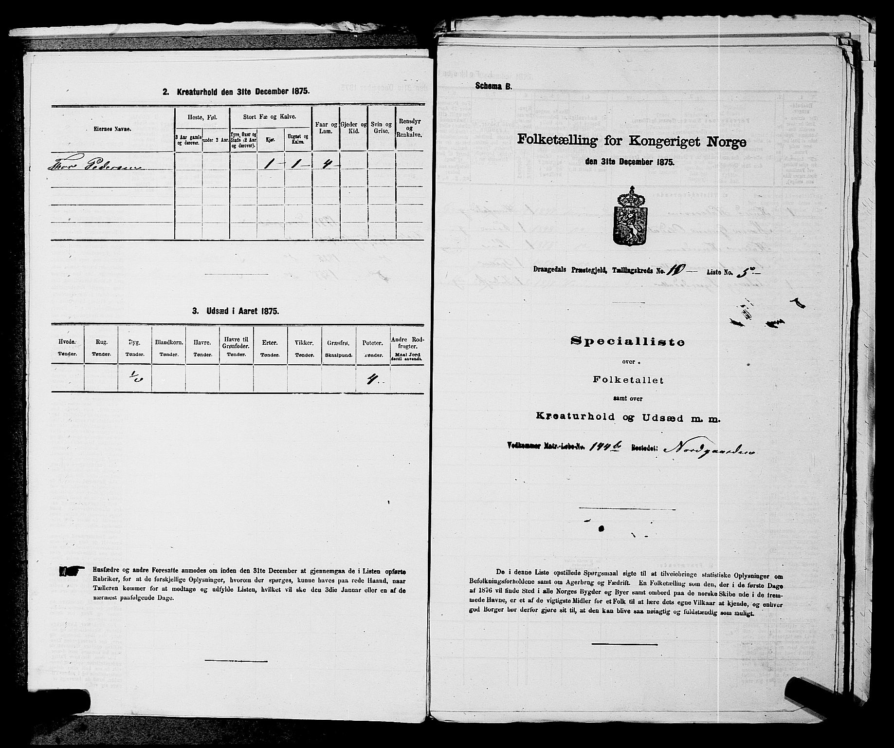 SAKO, Folketelling 1875 for 0817P Drangedal prestegjeld, 1875, s. 1013