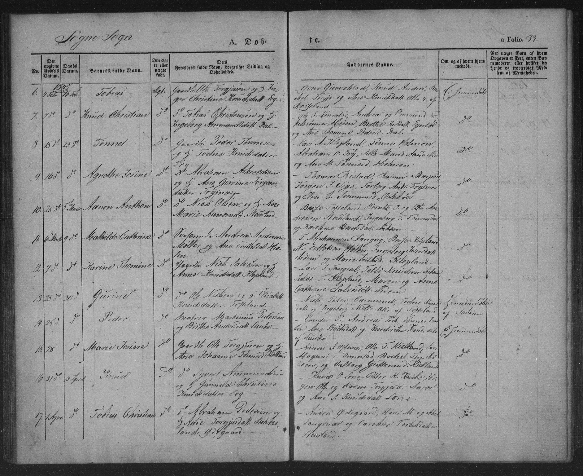 Søgne sokneprestkontor, AV/SAK-1111-0037/F/Fa/Fab/L0009: Ministerialbok nr. A 9, 1838-1853, s. 33
