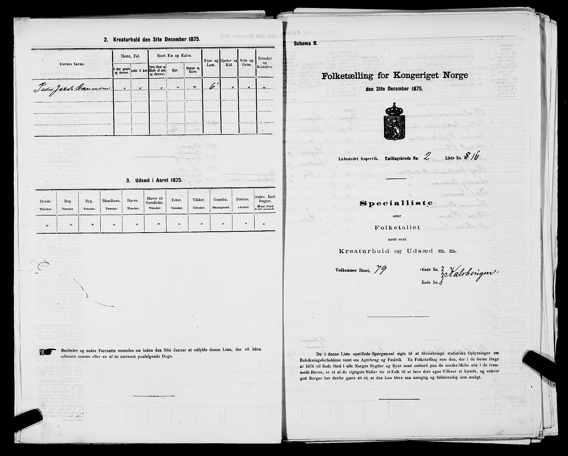 SAST, Folketelling 1875 for 1105B Avaldsnes prestegjeld, Kopervik ladested, 1875, s. 34