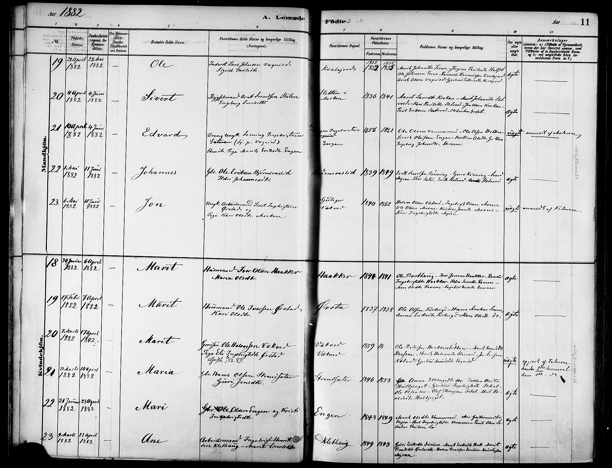 Ministerialprotokoller, klokkerbøker og fødselsregistre - Sør-Trøndelag, SAT/A-1456/678/L0901: Ministerialbok nr. 678A10, 1881-1894, s. 11