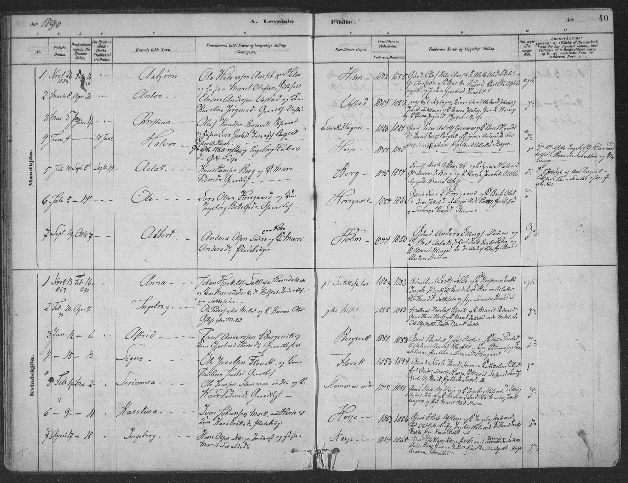 Ministerialprotokoller, klokkerbøker og fødselsregistre - Møre og Romsdal, AV/SAT-A-1454/547/L0604: Ministerialbok nr. 547A06, 1878-1906, s. 40